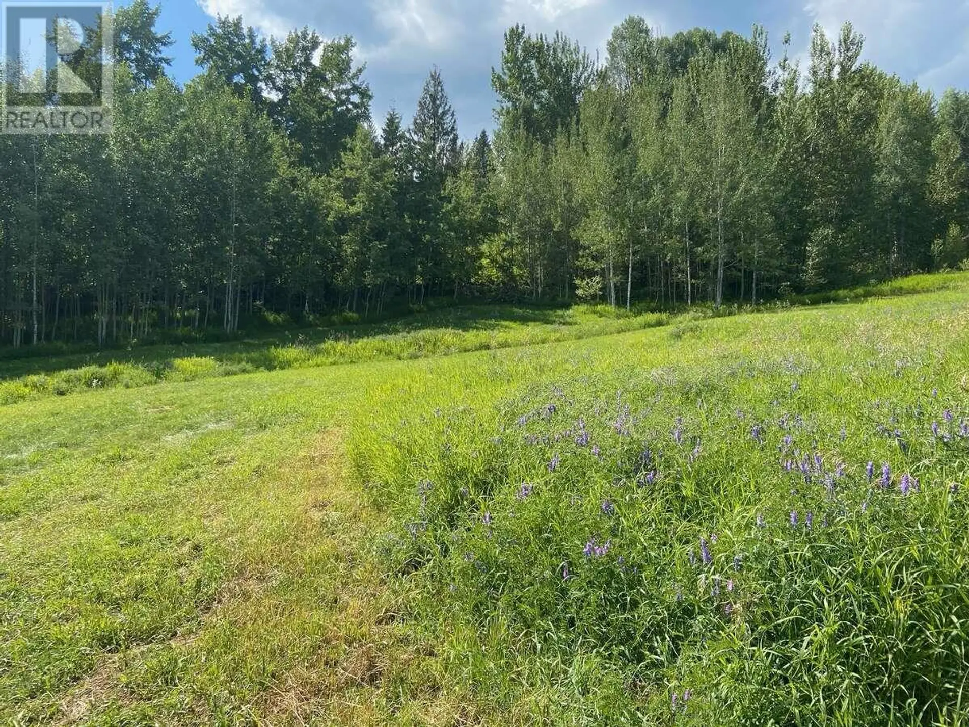 Property at LOT 2 HAPPY VALLEY ROAD, Rossland, BC