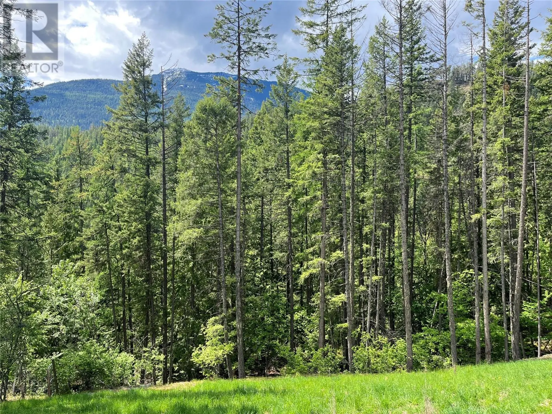 Property at LOT 13 PINE RIDGE ROAD, Kaslo, BC