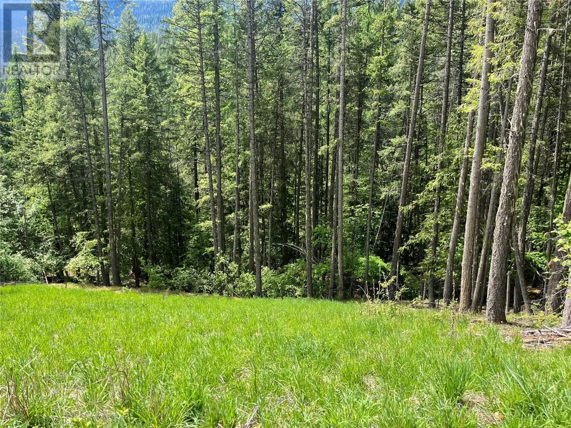 Property at LOT 13 PINE RIDGE ROAD, Kaslo, BC