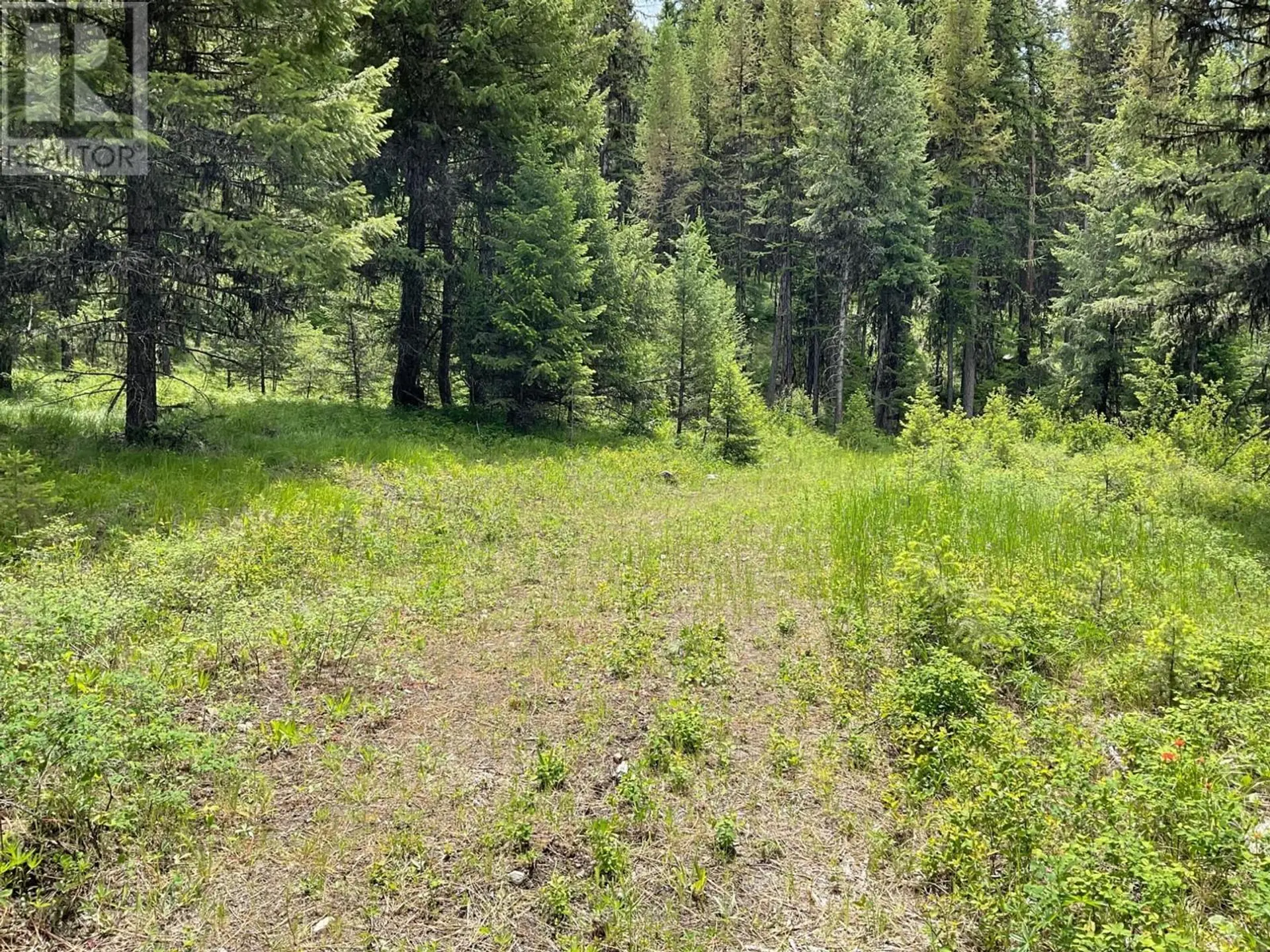 Property at LOT 1 NICHOLSON CREEK ROAD, Rock Creek, BC