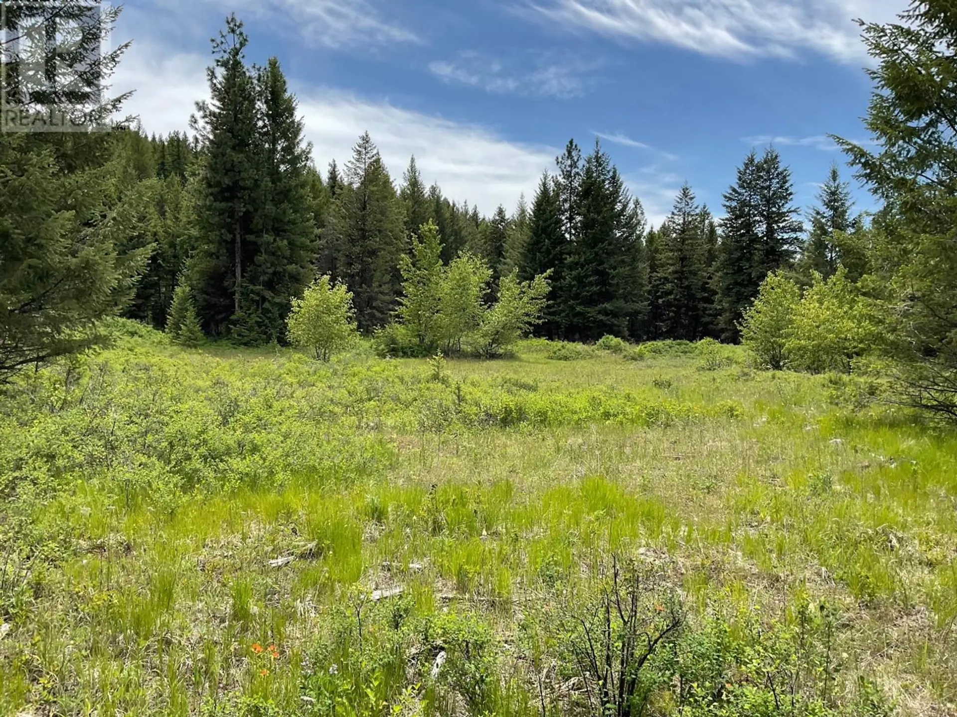 Property at LOT 1 NICHOLSON CREEK ROAD, Rock Creek, BC