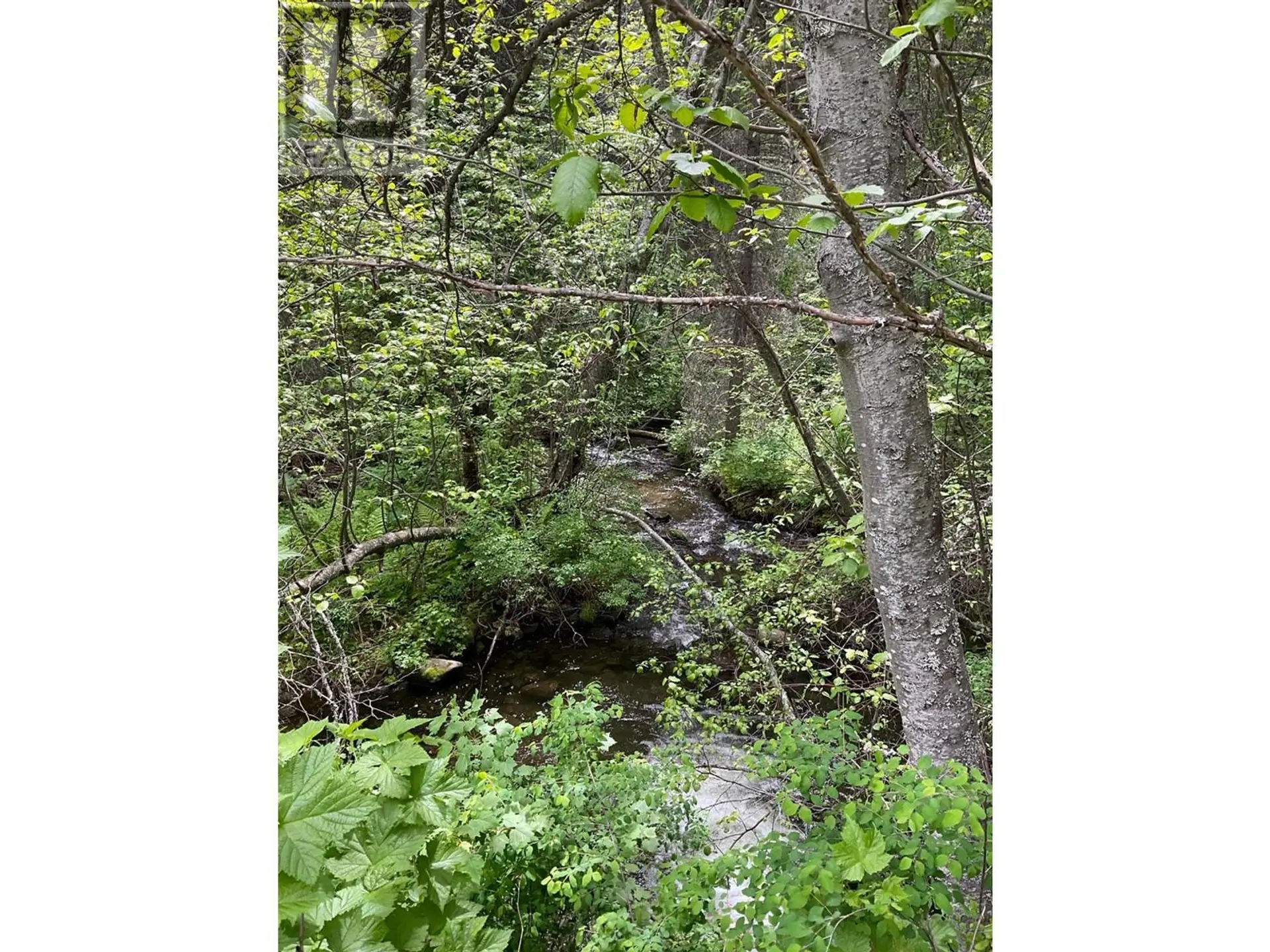 Property at LOT 1 NICHOLSON CREEK ROAD, Rock Creek, BC