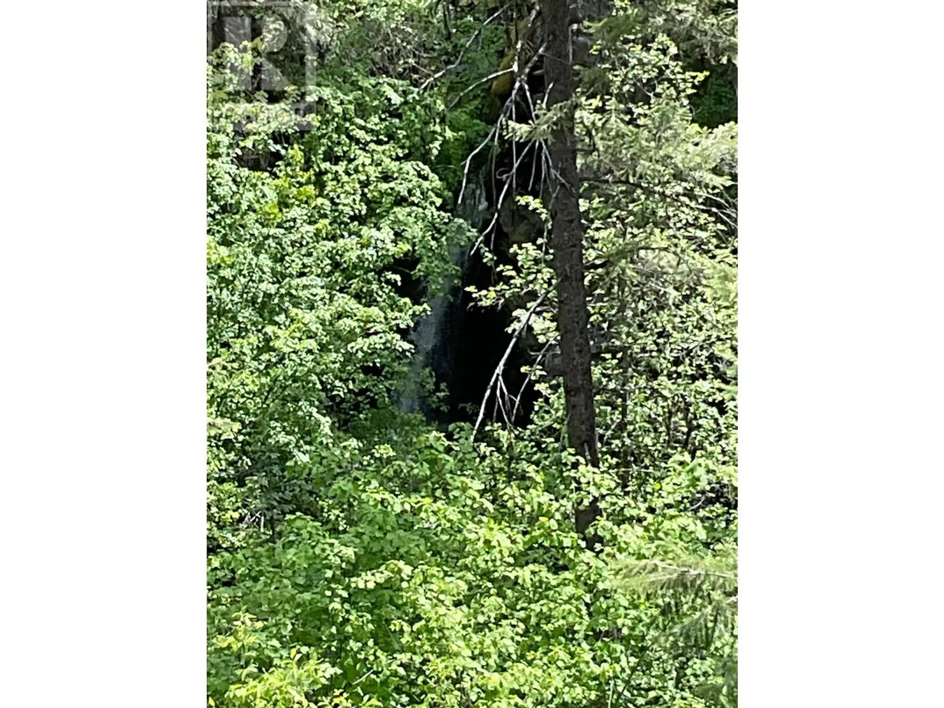 Property at LOT 1 NICHOLSON CREEK ROAD, Rock Creek, BC