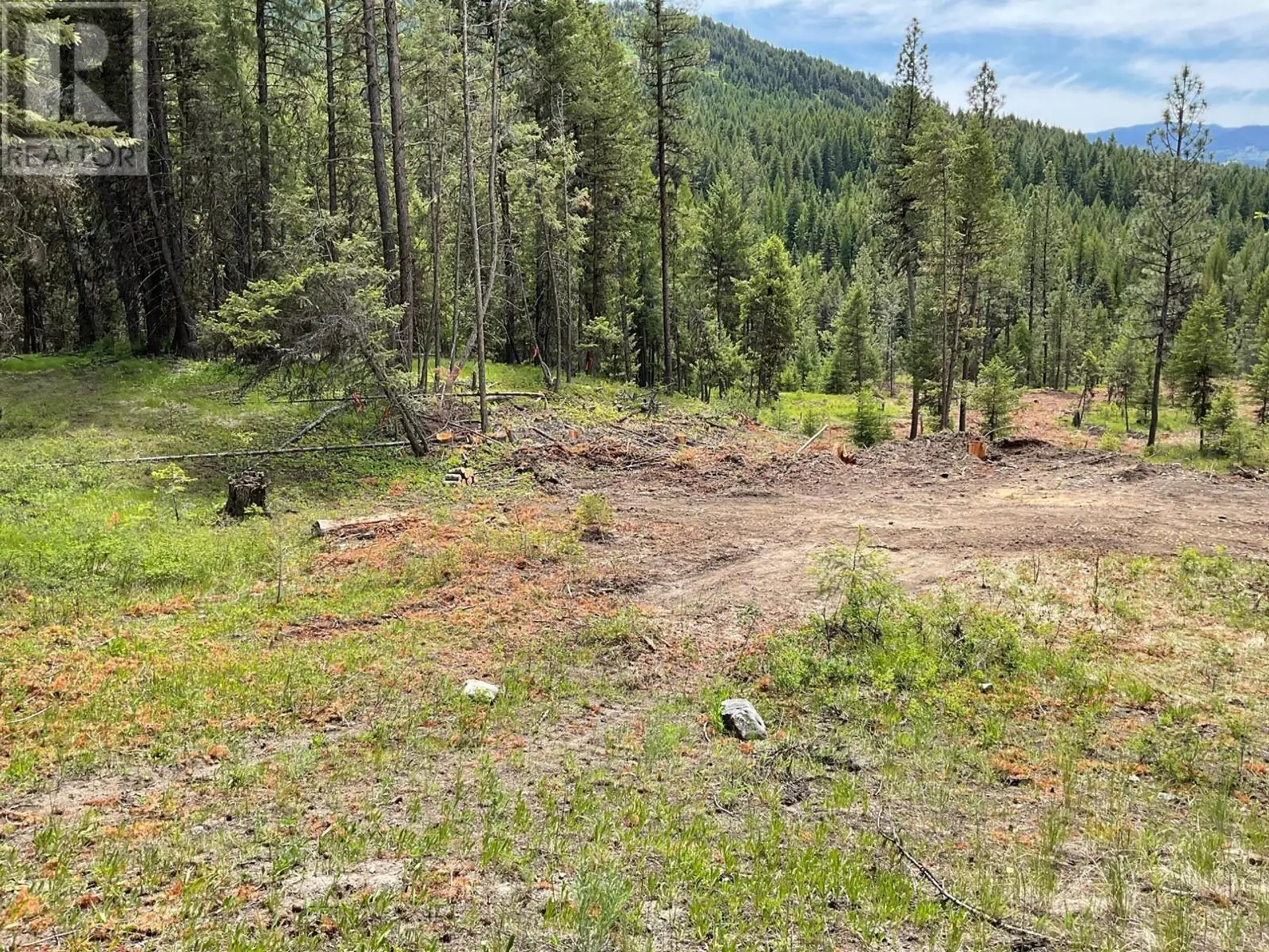 Property at LOT 1 NICHOLSON CREEK ROAD, Rock Creek, BC