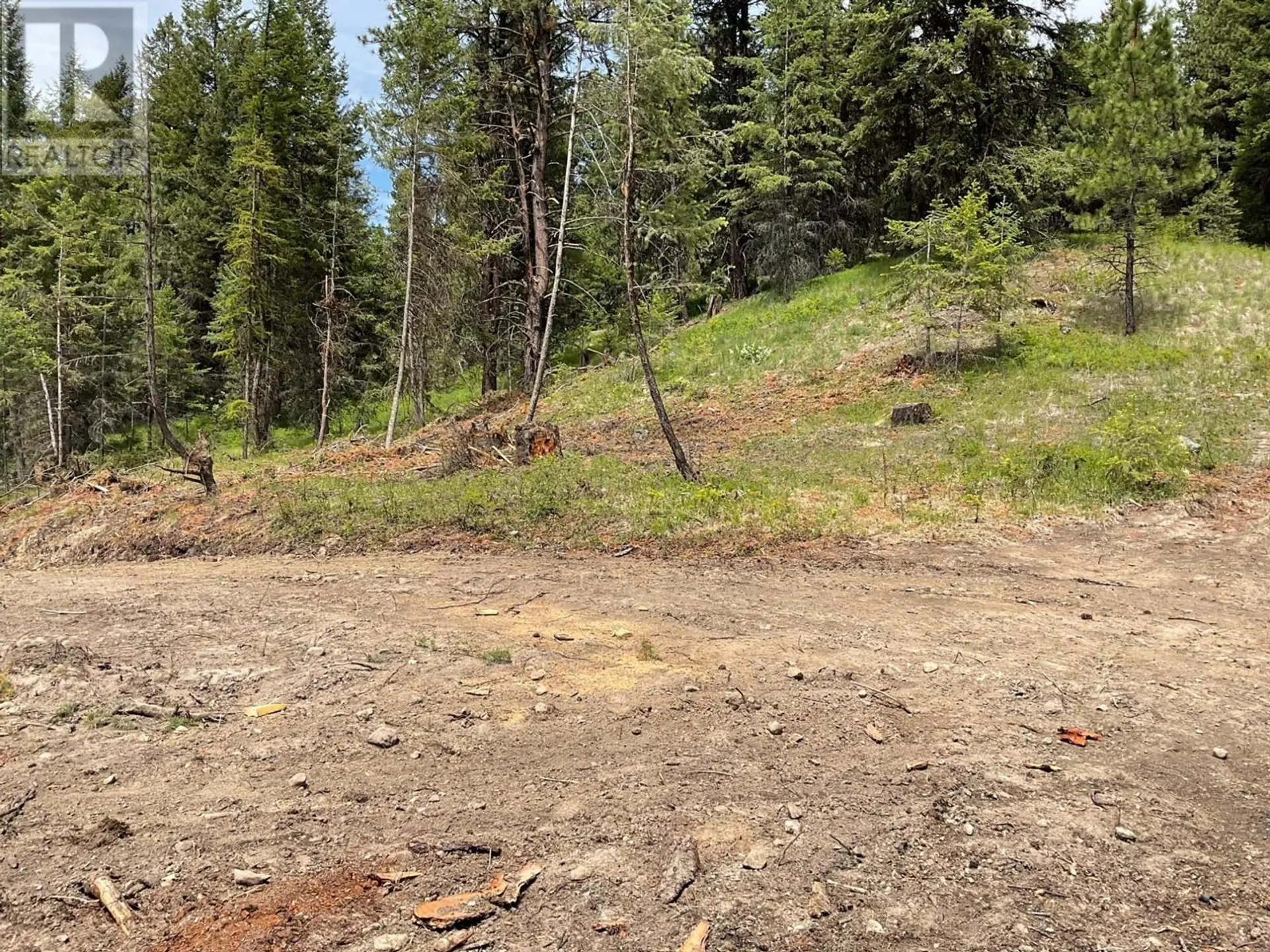 Property at LOT 1 NICHOLSON CREEK ROAD, Rock Creek, BC