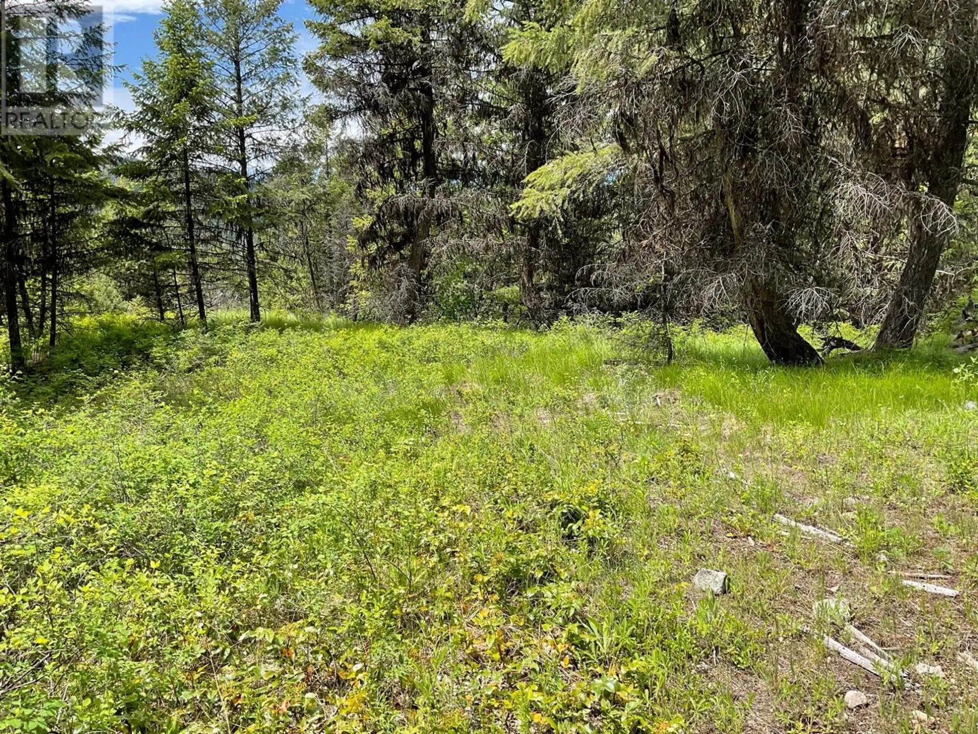 Property at LOT 1 NICHOLSON CREEK ROAD, Rock Creek, BC