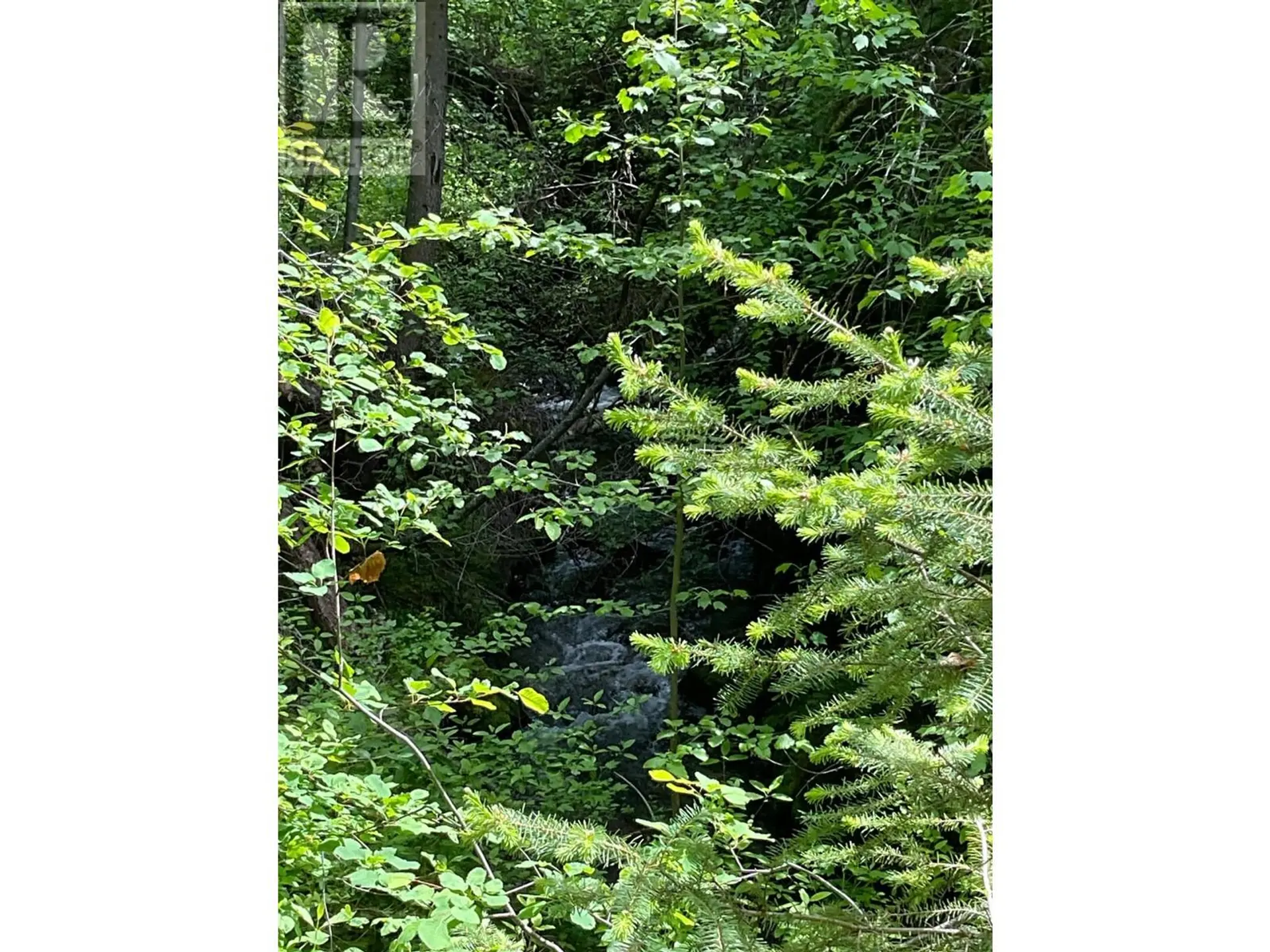 Property at LOT 1 NICHOLSON CREEK ROAD, Rock Creek, BC