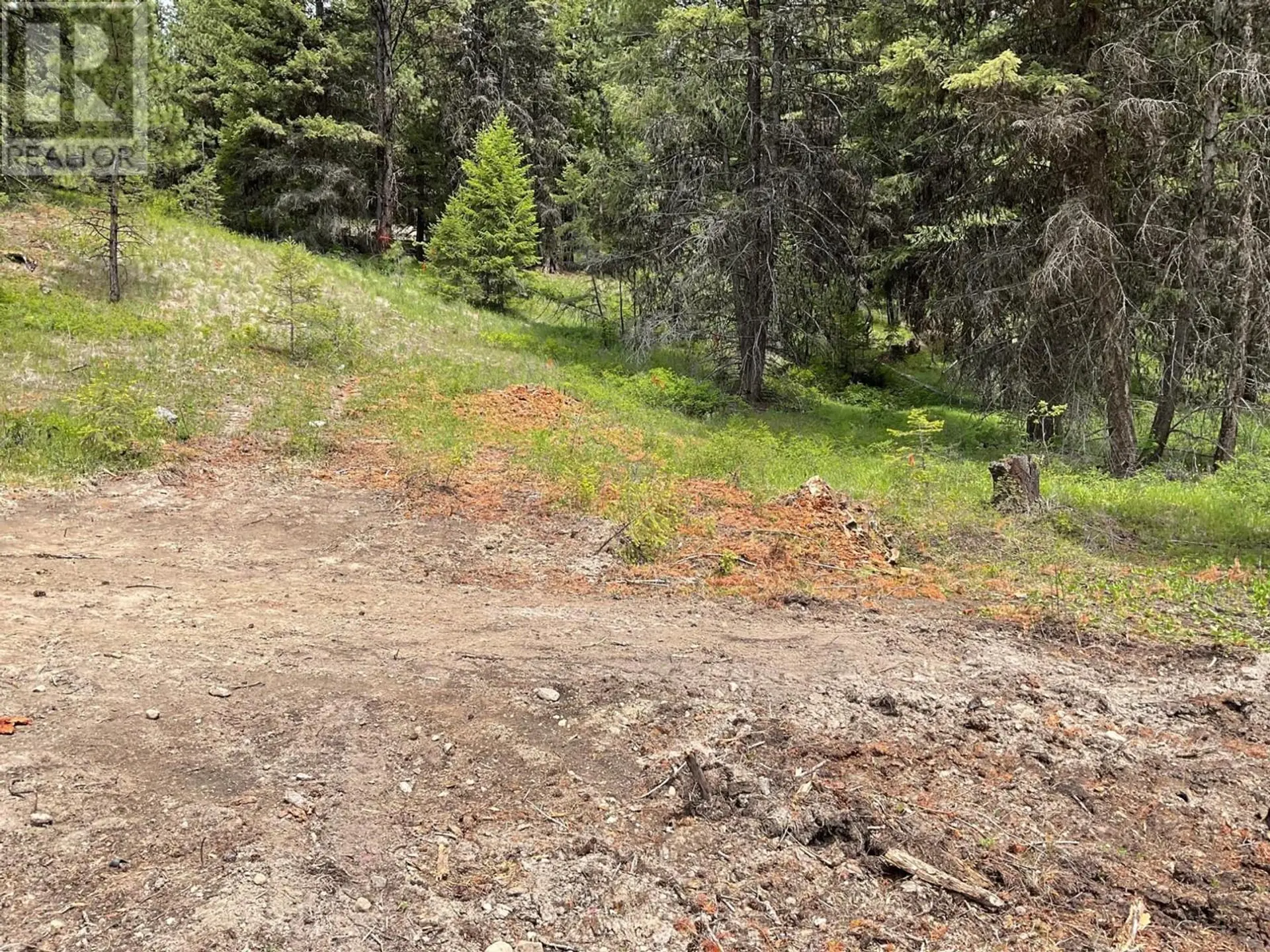 Property at LOT 1 NICHOLSON CREEK ROAD, Rock Creek, BC