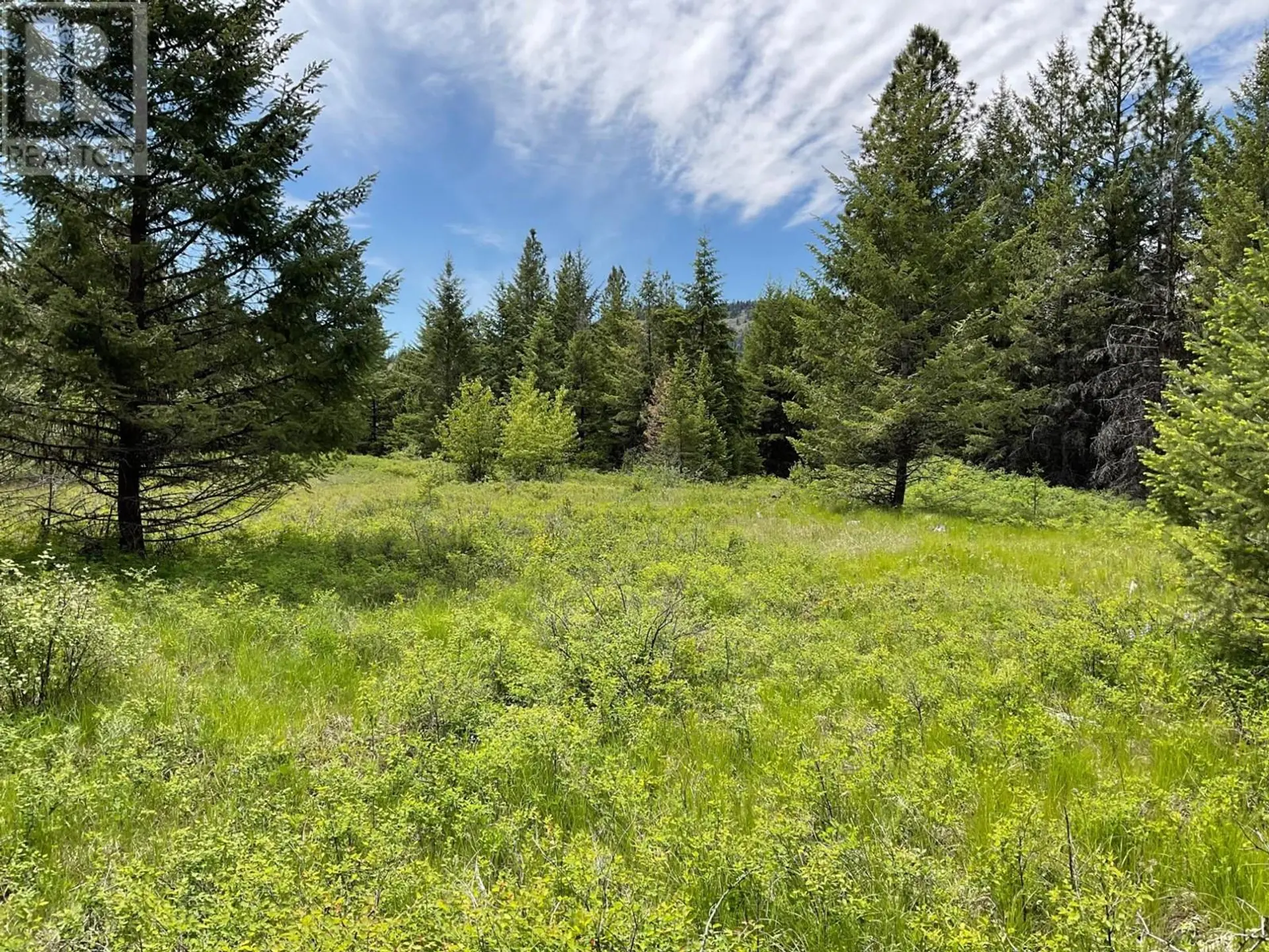 Property at LOT 1 NICHOLSON CREEK ROAD, Rock Creek, BC