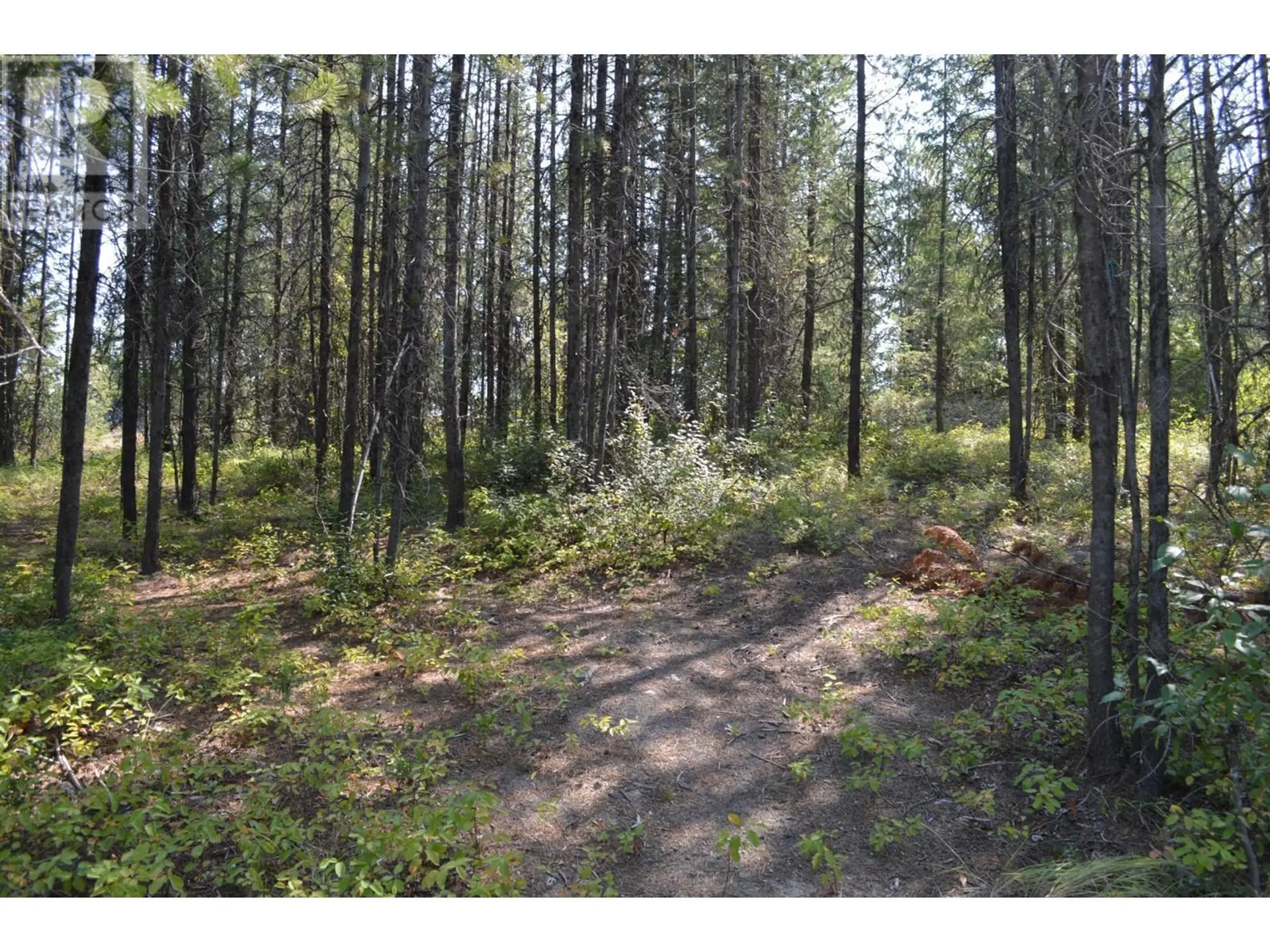 Property at LOT 2 3 HIGHWAY, Grand Forks, BC