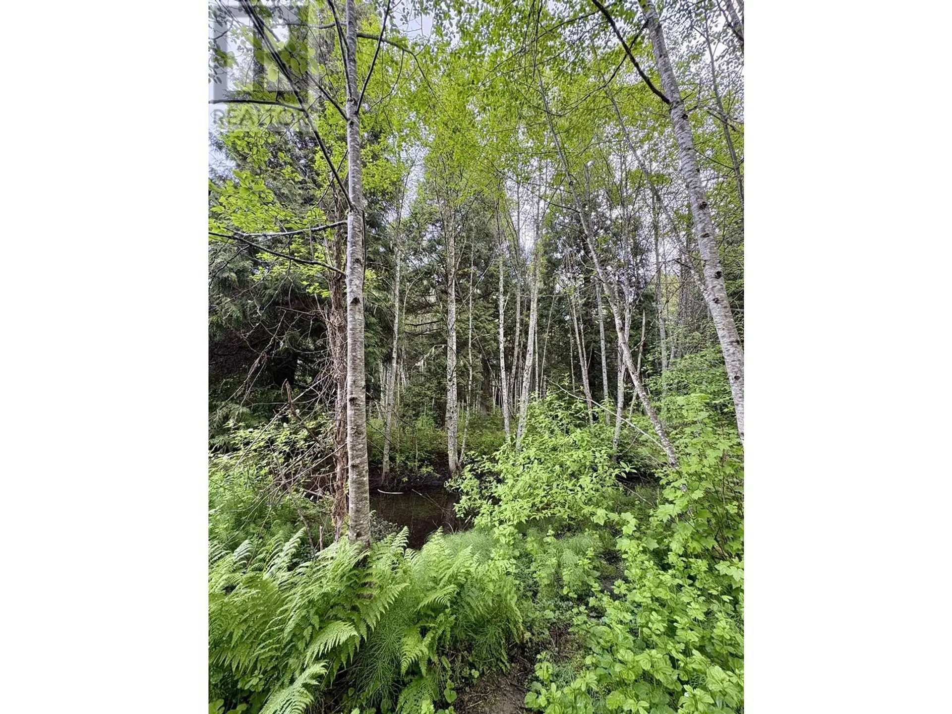 Property at 5380 CENTENNIAL DRIVE, Terrace, BC