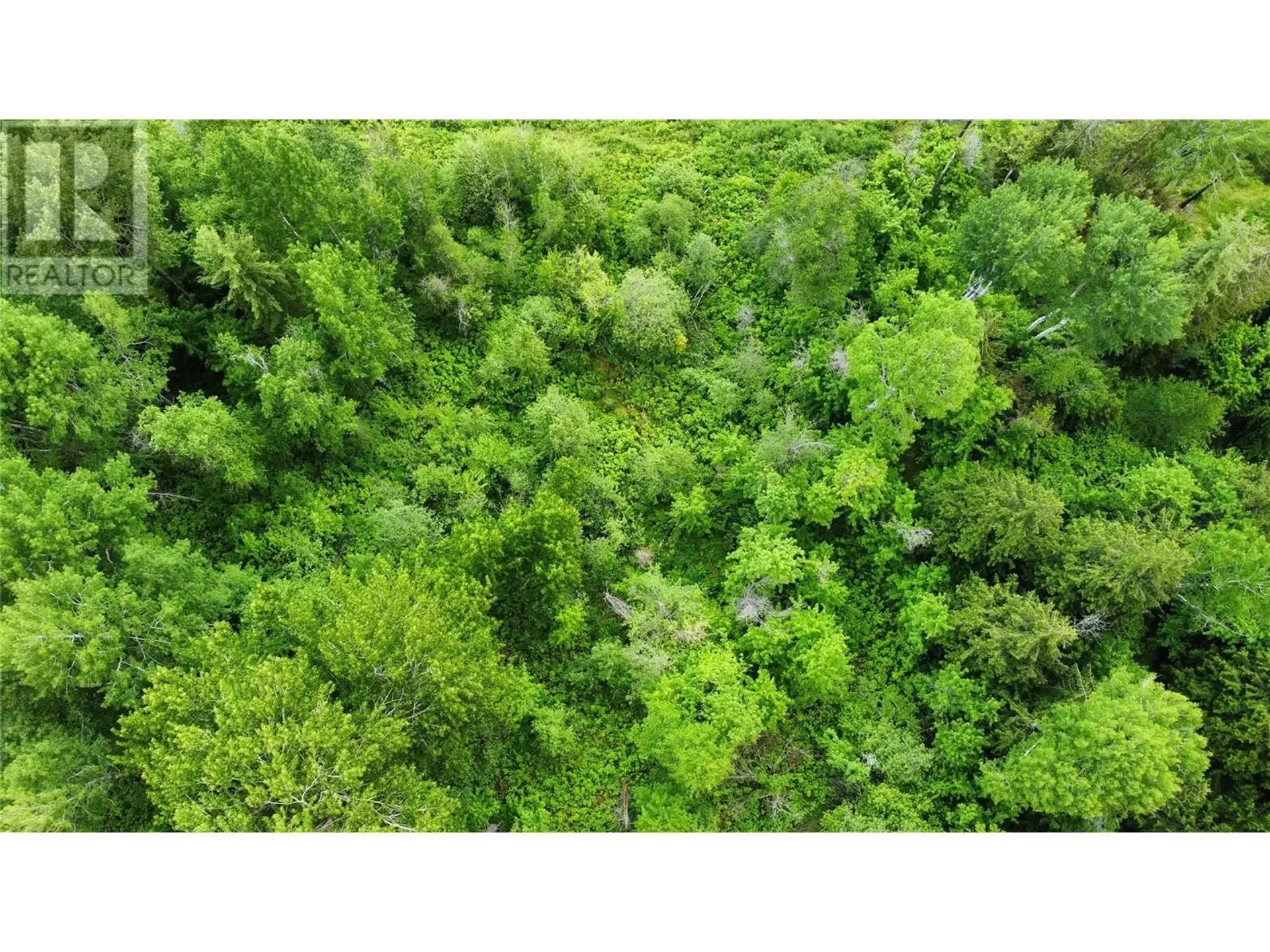 Property at LOT 1 - 9 ARROW LAKES DRIVE, Castlegar, BC