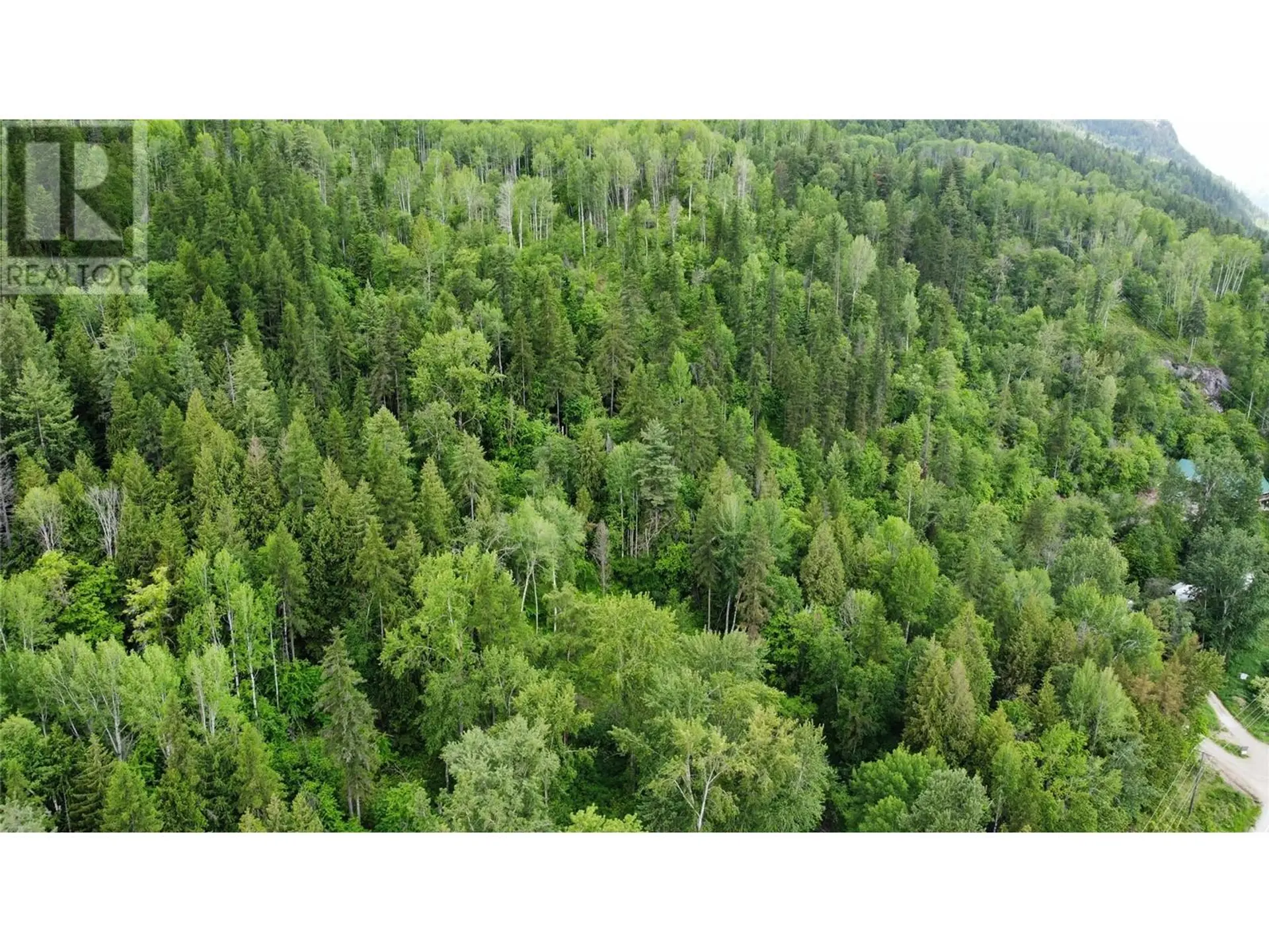 Property at LOT 1 - 9 ARROW LAKES DRIVE, Castlegar, BC