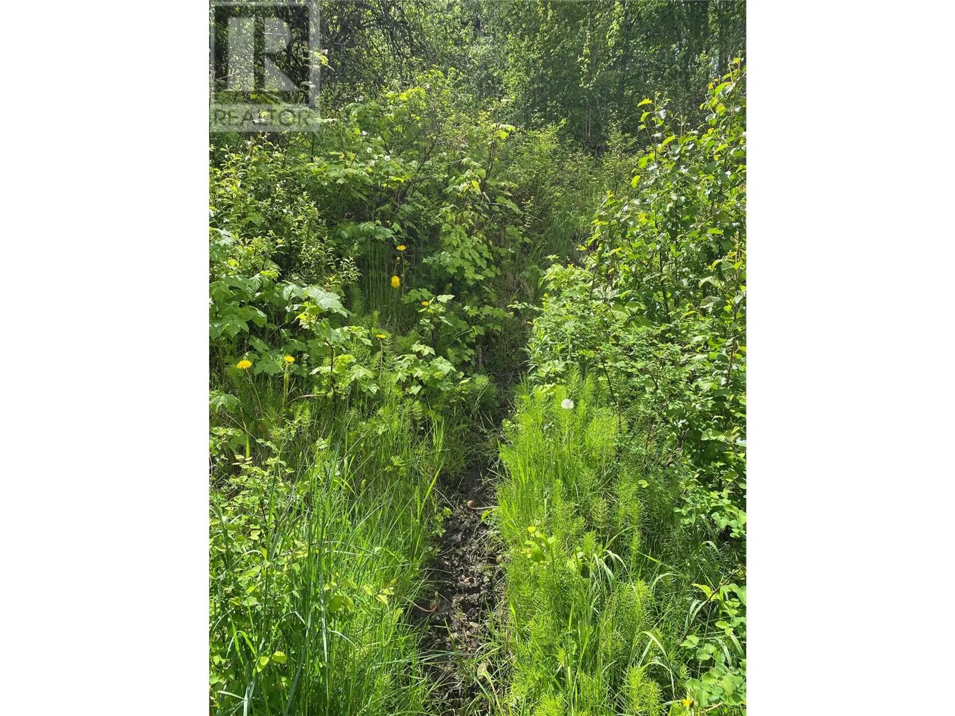 Property at LOT 1 - 9 ARROW LAKES DRIVE, Castlegar, BC