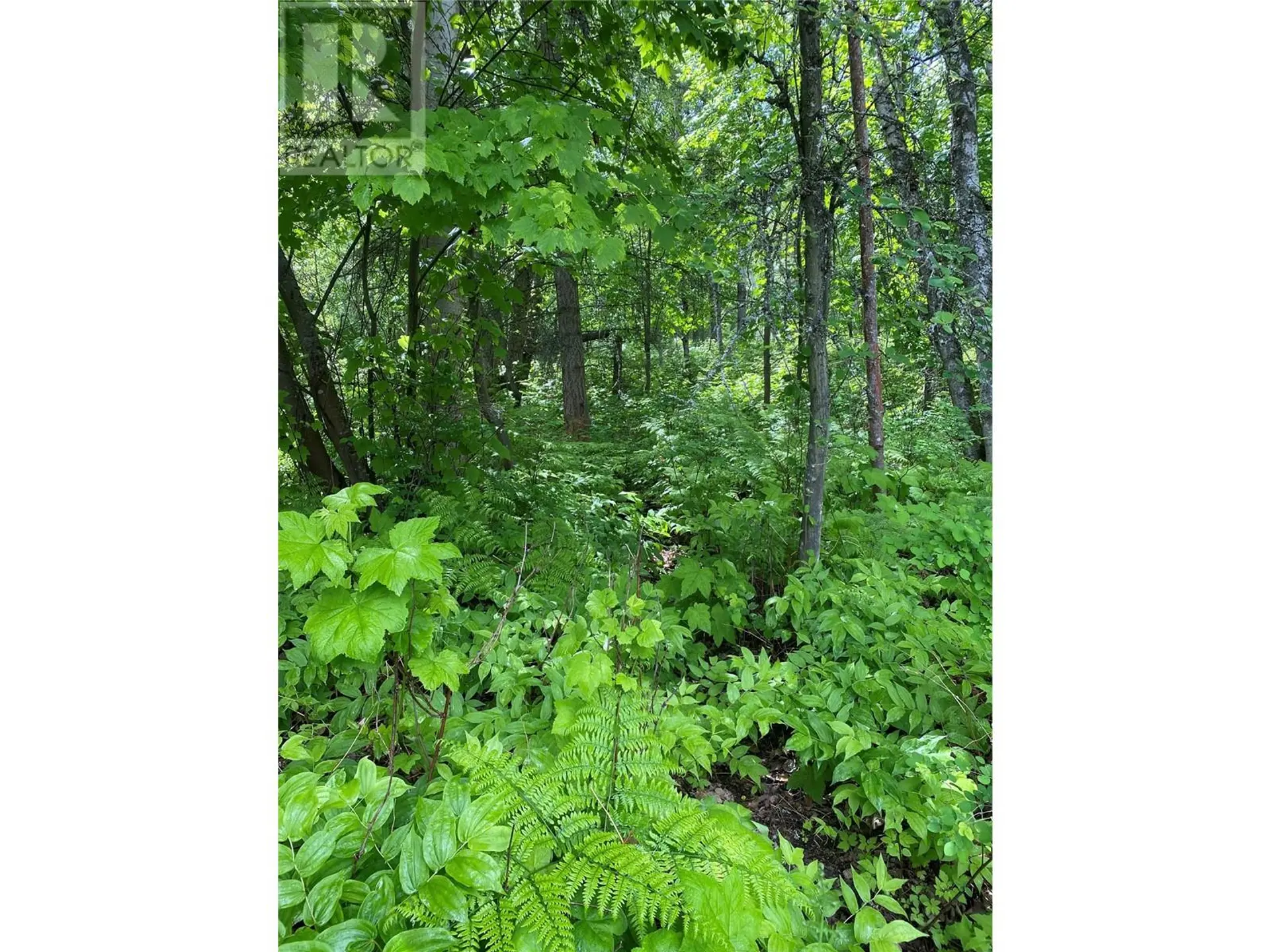 Property at LOT 1 - 9 ARROW LAKES DRIVE, Castlegar, BC