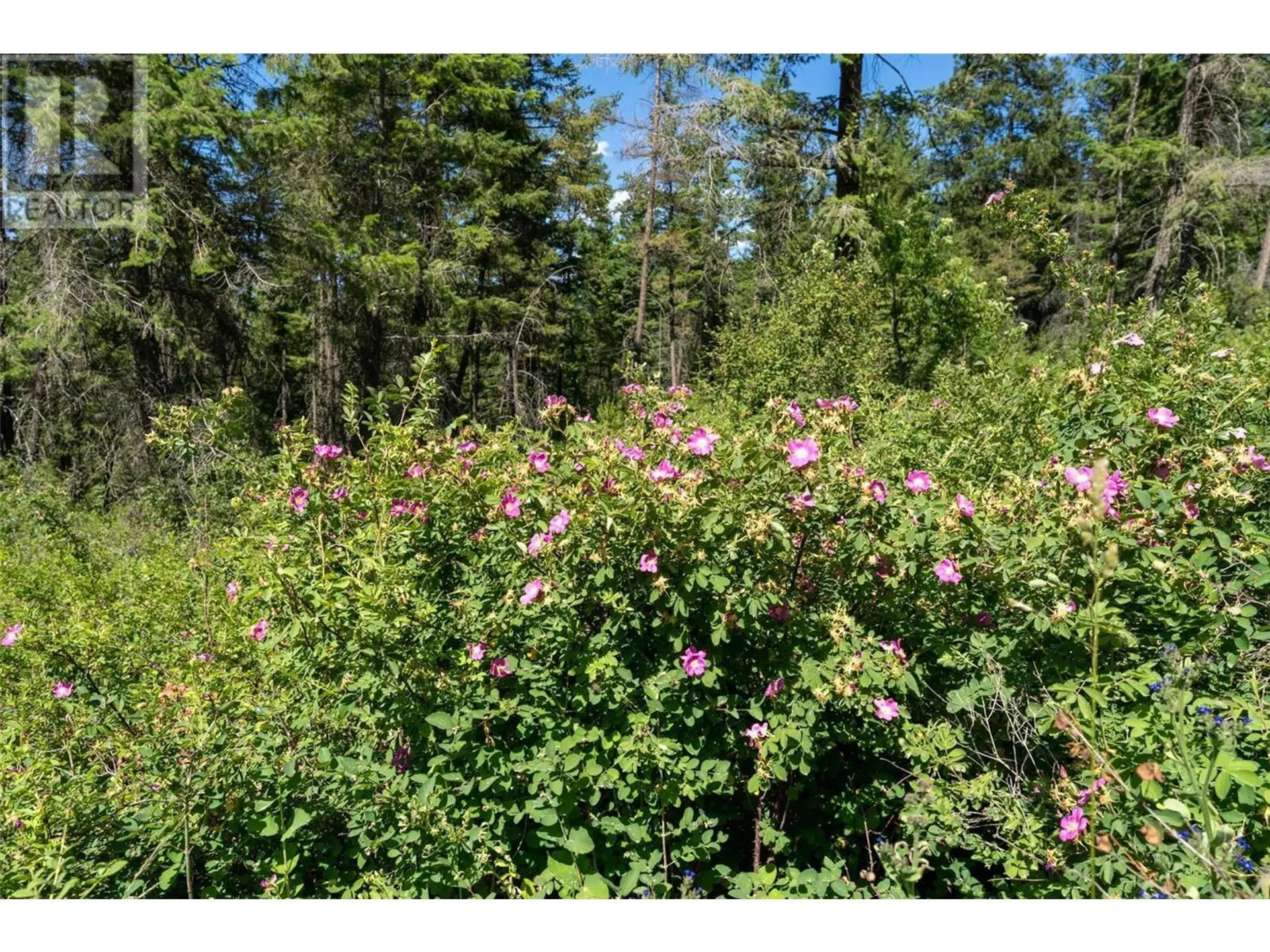 Property at 5401-5403 MCCULLOCH ROAD, Kelowna, BC