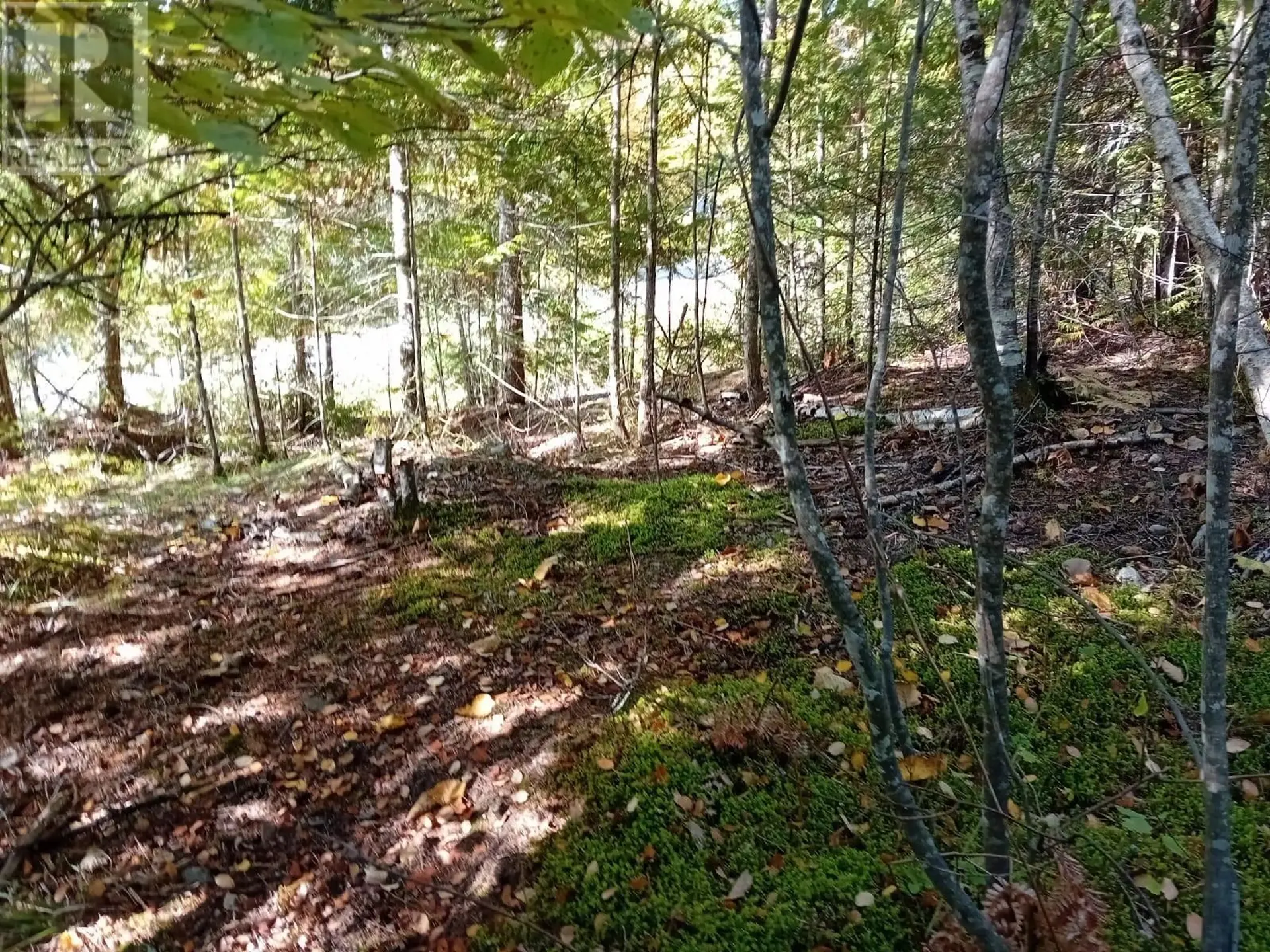 Property at 372 ASPEN ROAD, Anglemont, BC