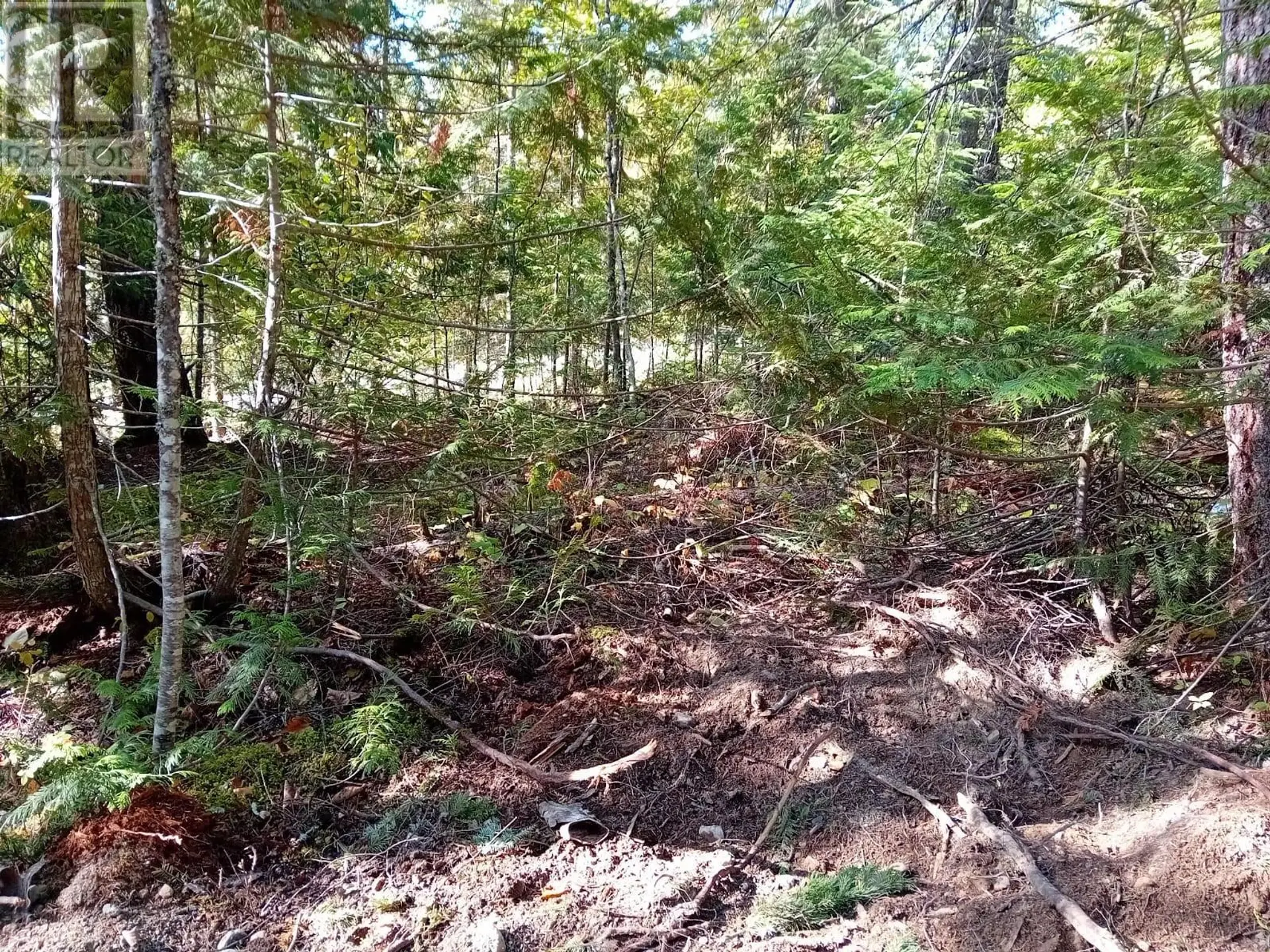 Property at 372 ASPEN ROAD, Anglemont, BC