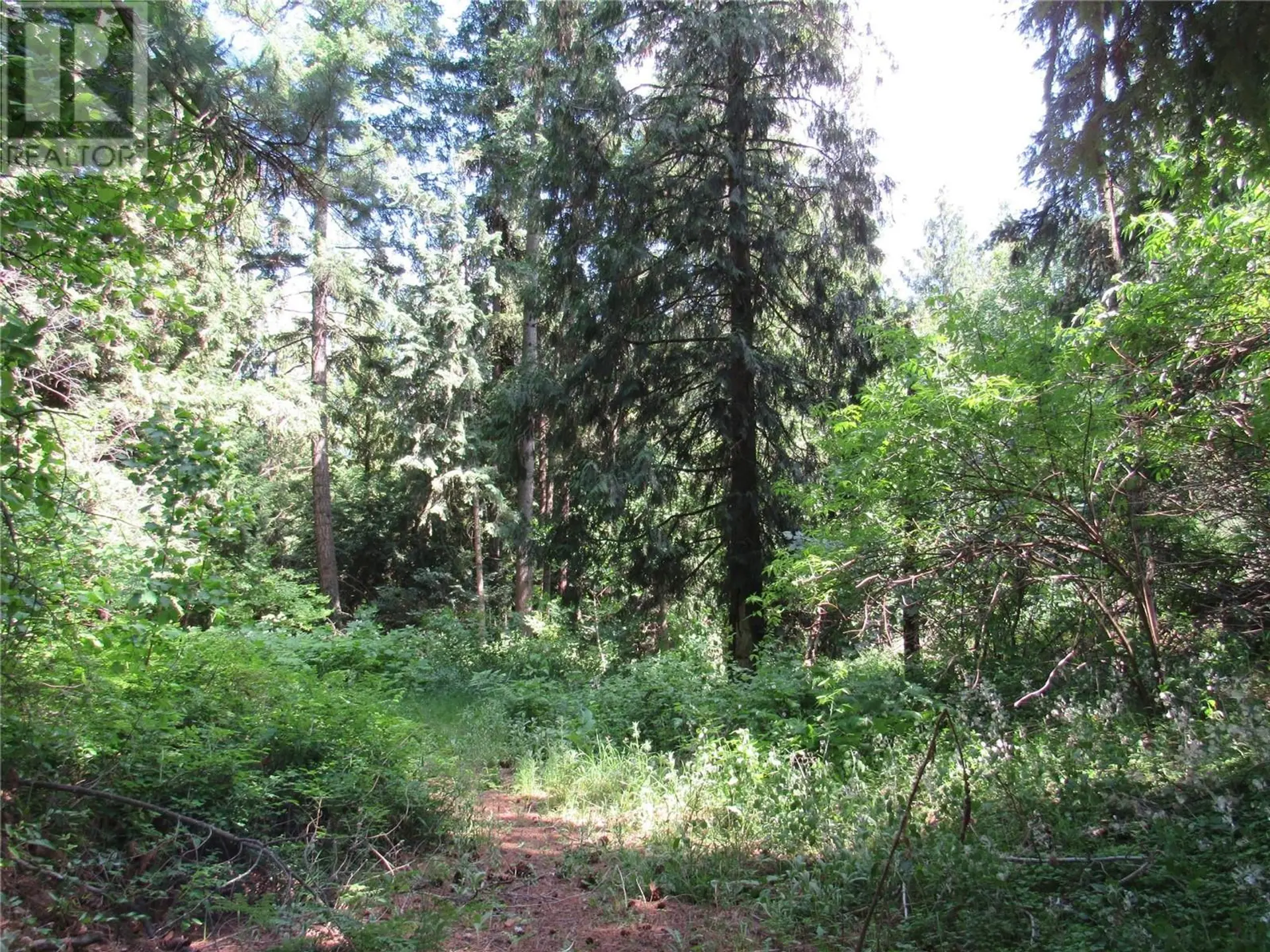 Property at #PARCEL A 2532 10TH AVENUE, Castlegar, BC