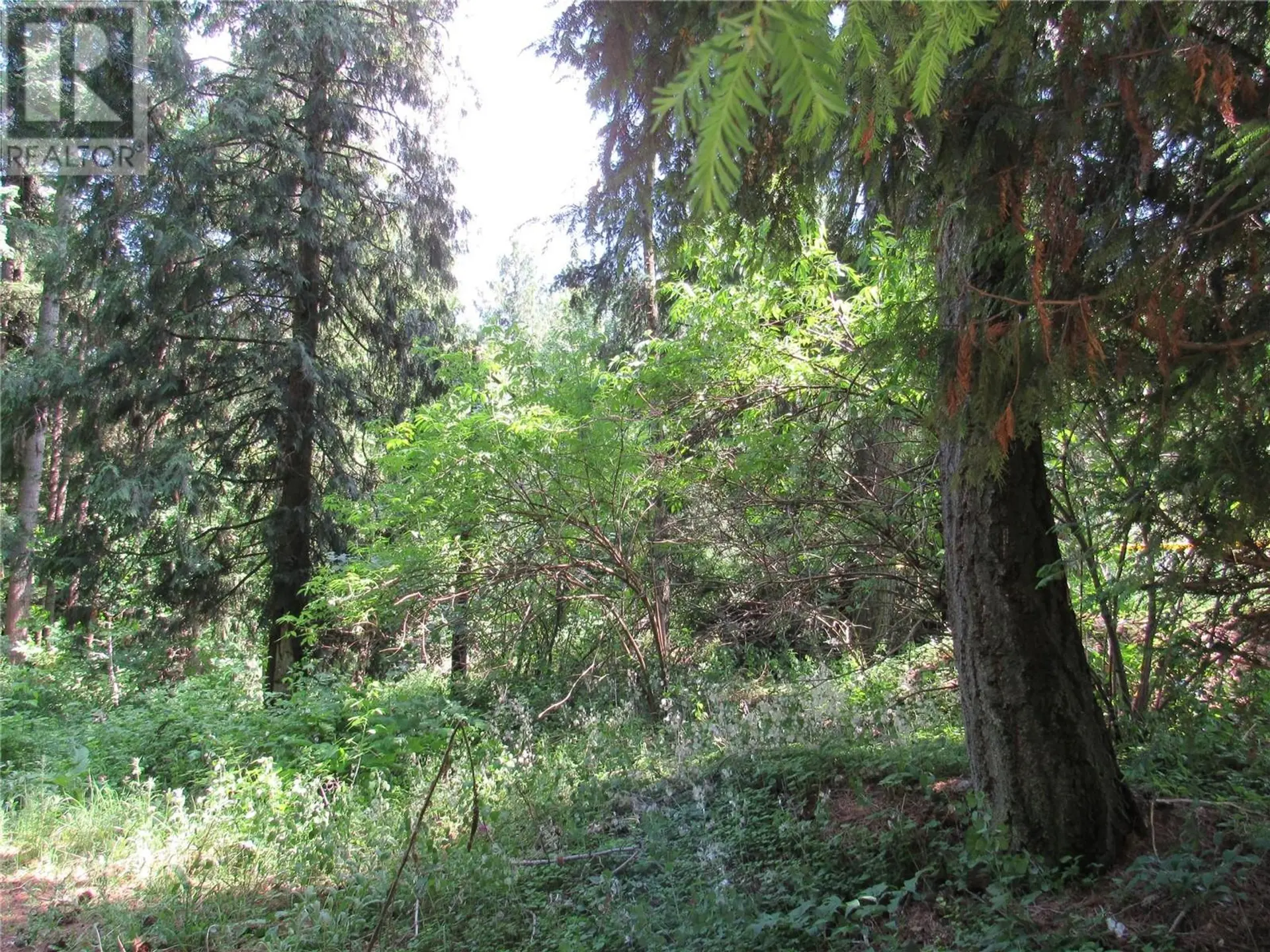 Property at #PARCEL A 2532 10TH AVENUE, Castlegar, BC