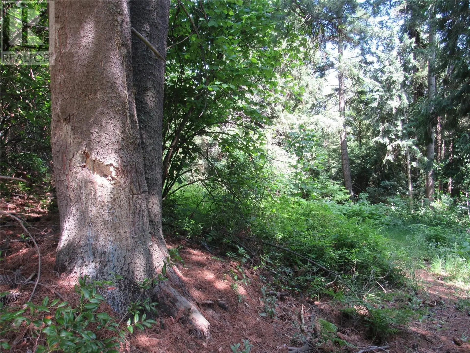 Property at #PARCEL A 2532 10TH AVENUE, Castlegar, BC