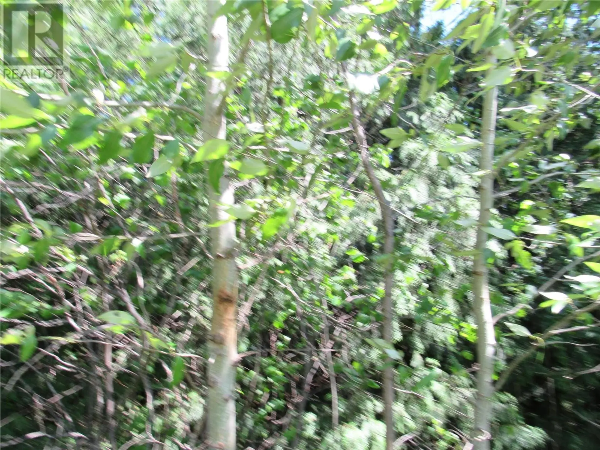 Property at #PARCEL A 2532 10TH AVENUE, Castlegar, BC