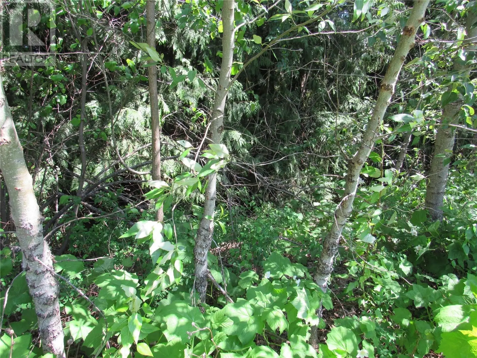 Property at #PARCEL A 2532 10TH AVENUE, Castlegar, BC