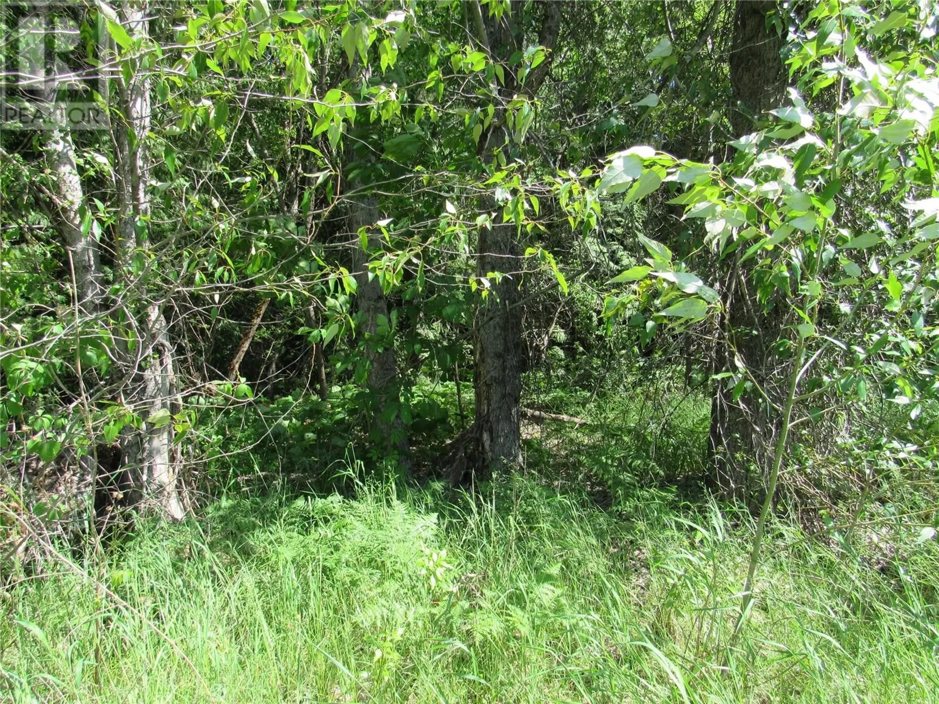 Property at #PARCEL A 2532 10TH AVENUE, Castlegar, BC