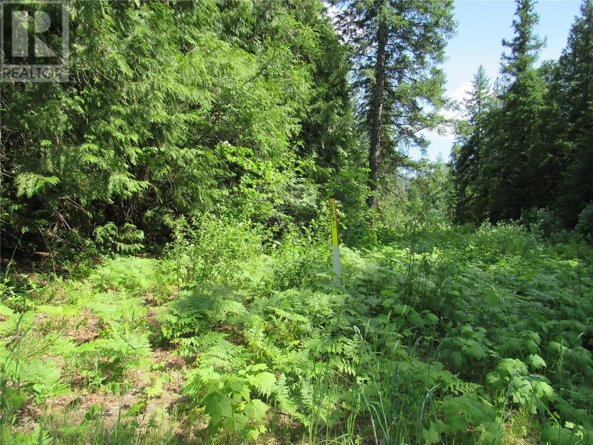 Property at #PARCEL A 2532 10TH AVENUE, Castlegar, BC