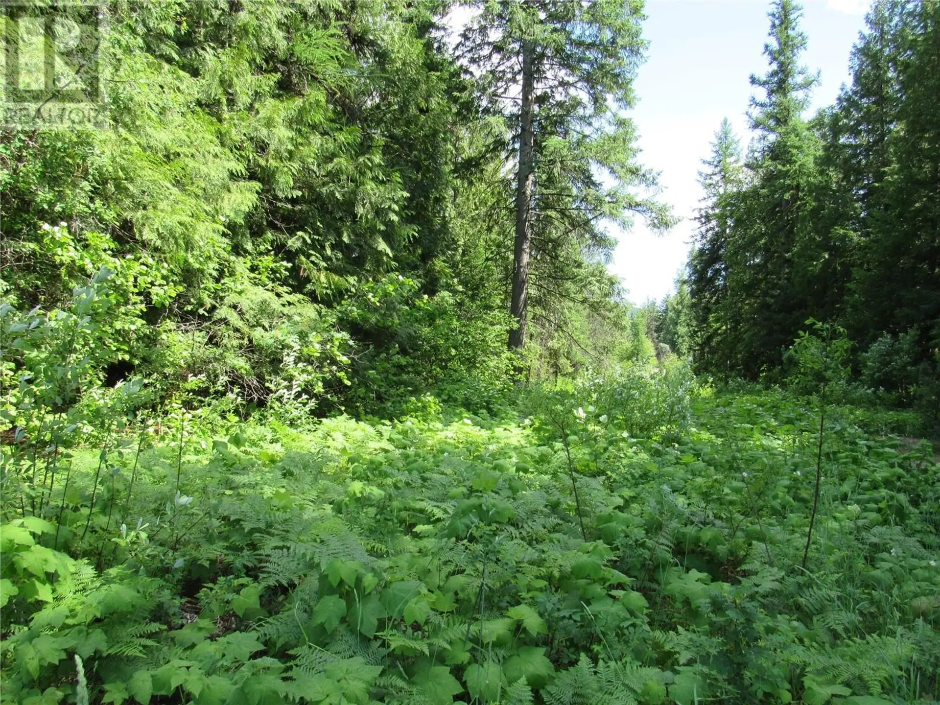 Property at #PARCEL A 2532 10TH AVENUE, Castlegar, BC