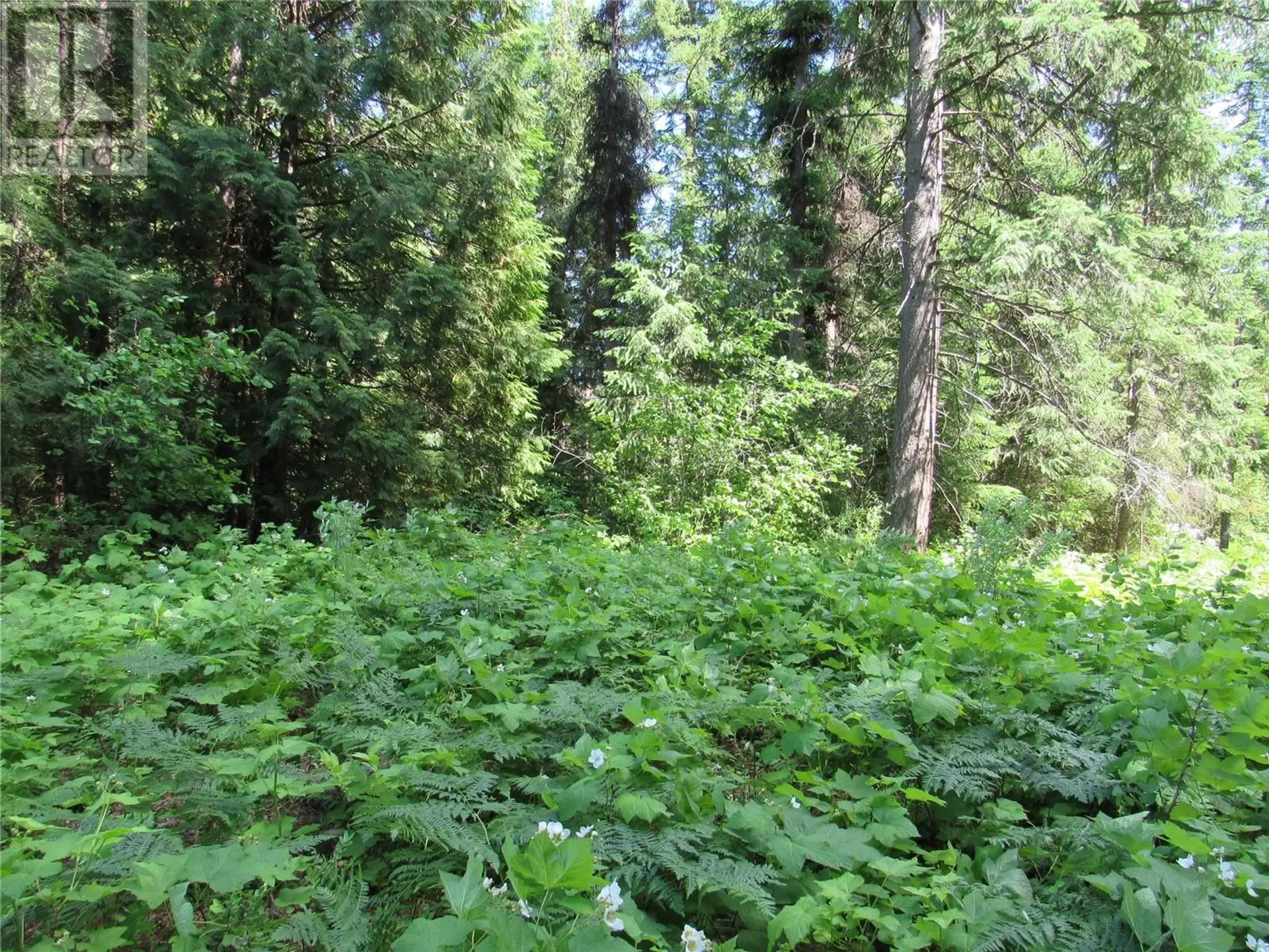 Property at #PARCEL A 2532 10TH AVENUE, Castlegar, BC