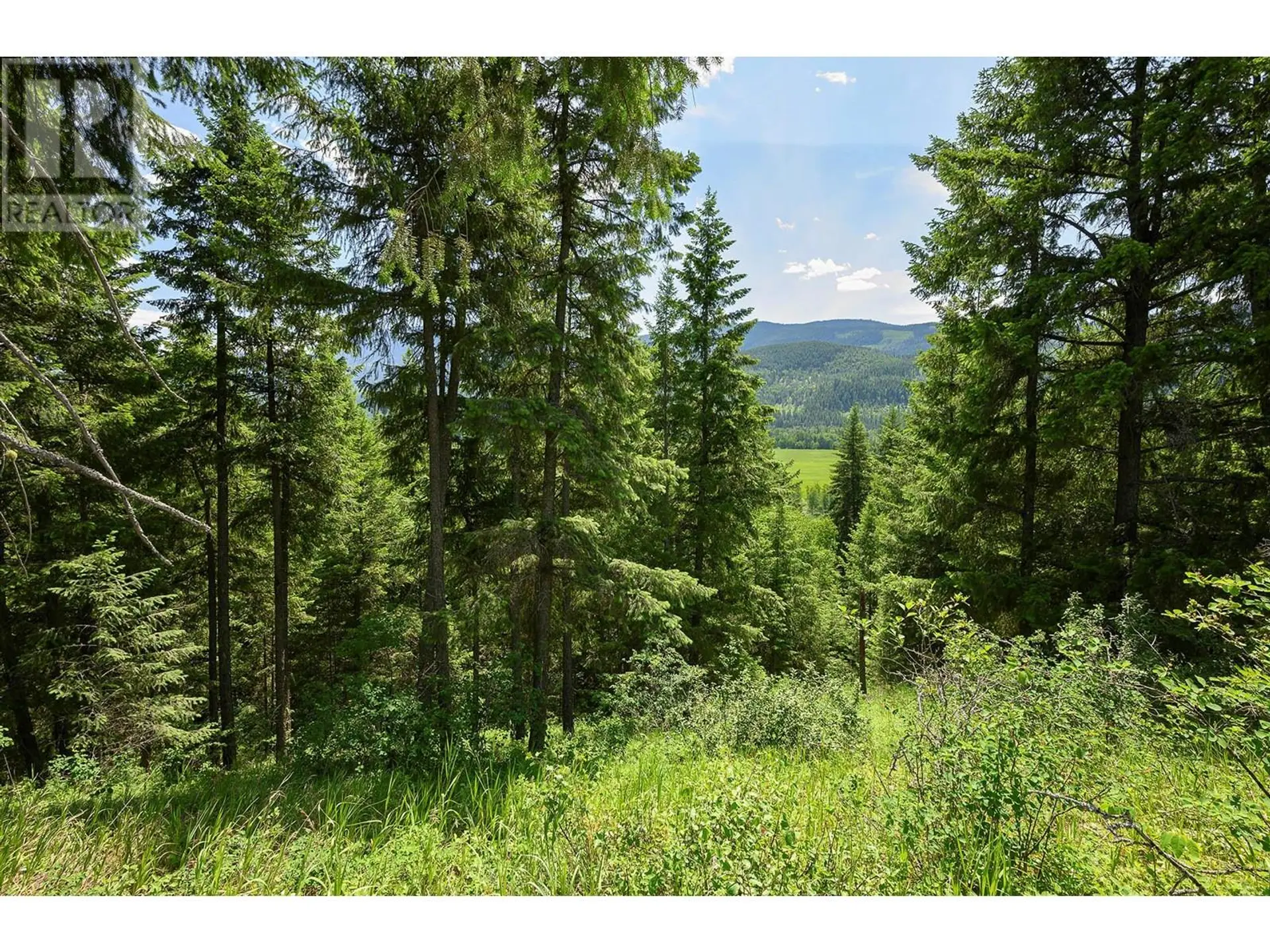 Property at 937 CLEARWATER VILLAGE ROAD, Clearwater, BC