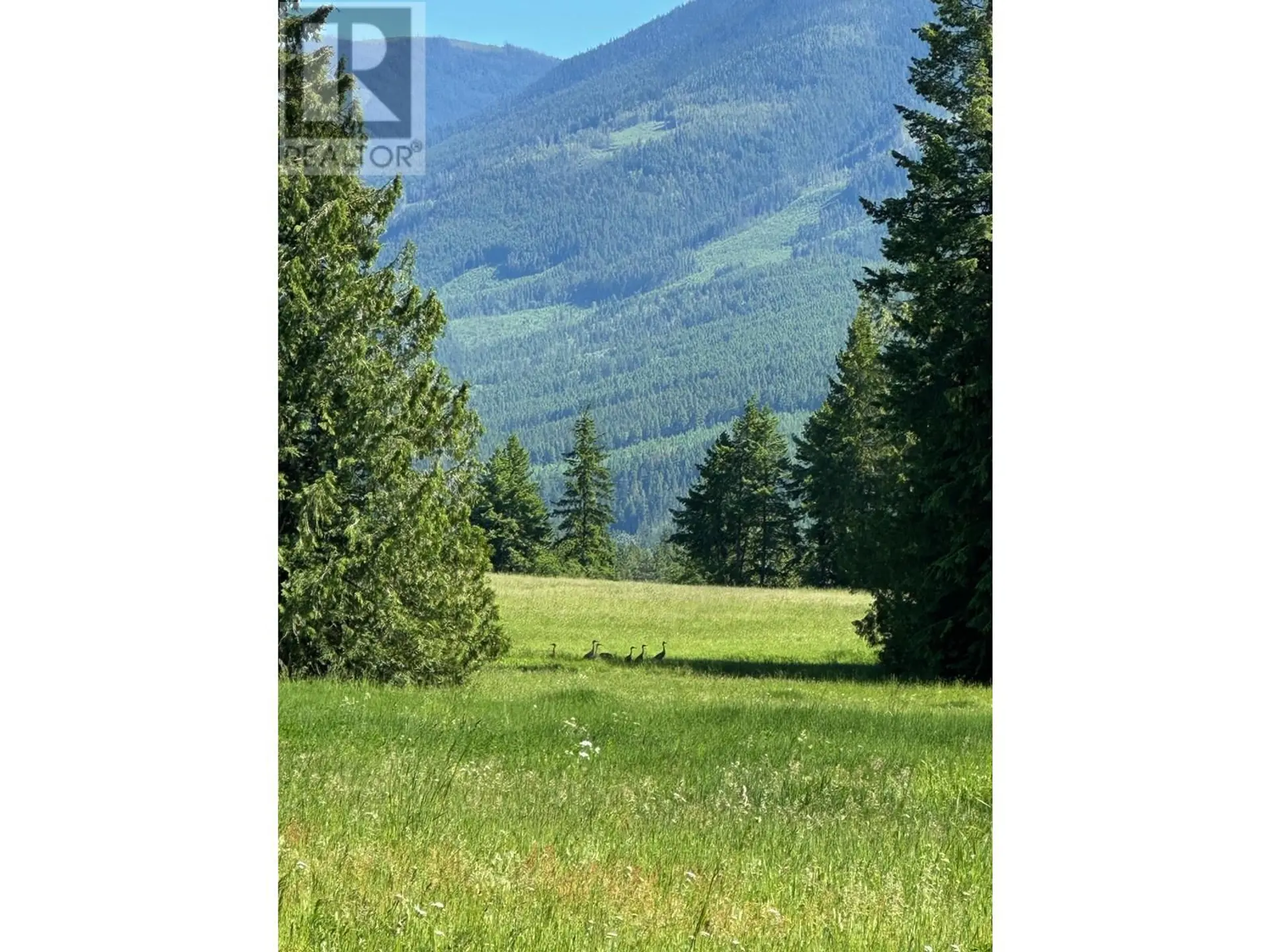 Property at 943 RAFT RIVER ROAD, Clearwater, BC