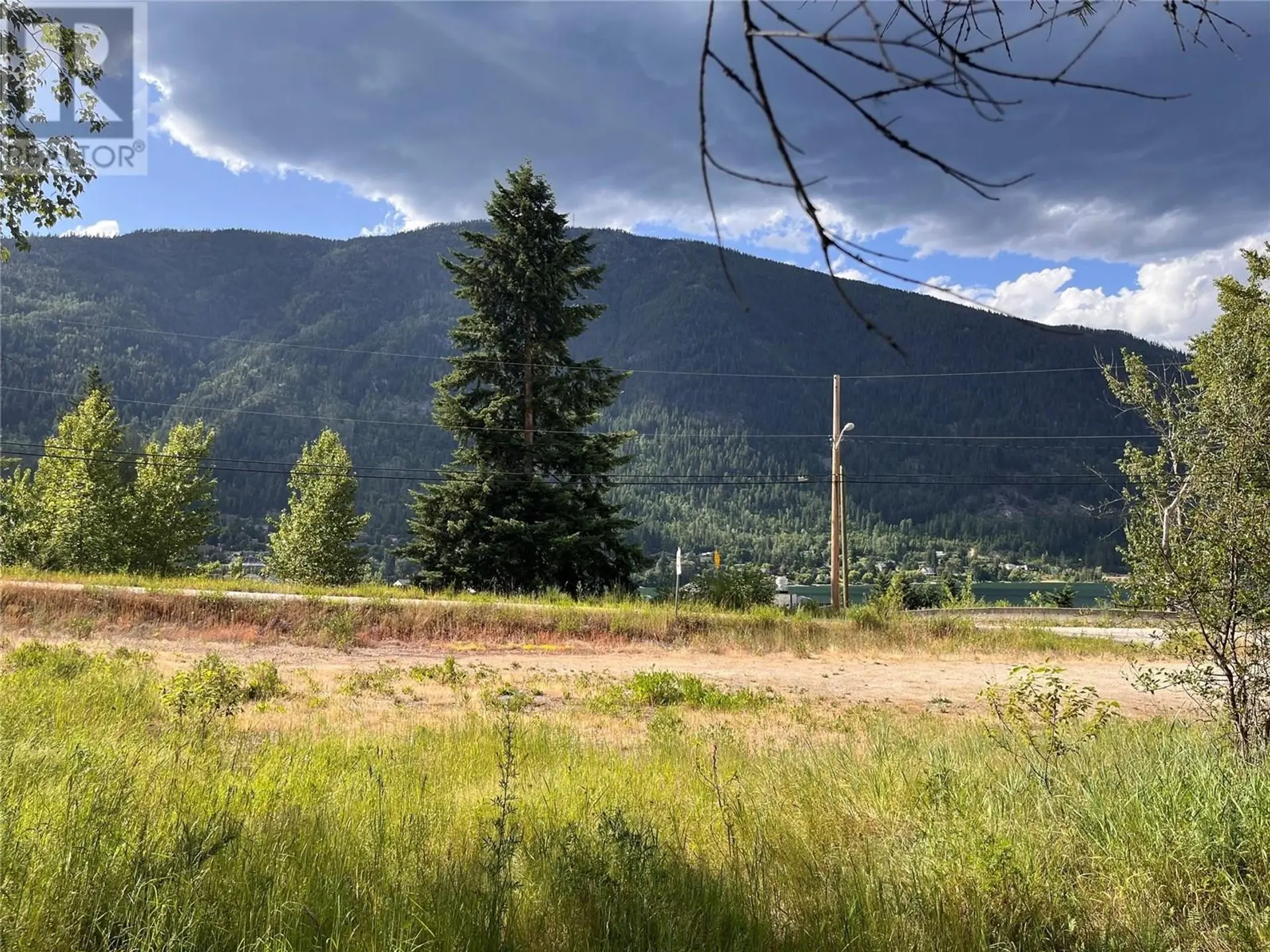 Property at 1102 BEALBY STREET, Nelson, BC