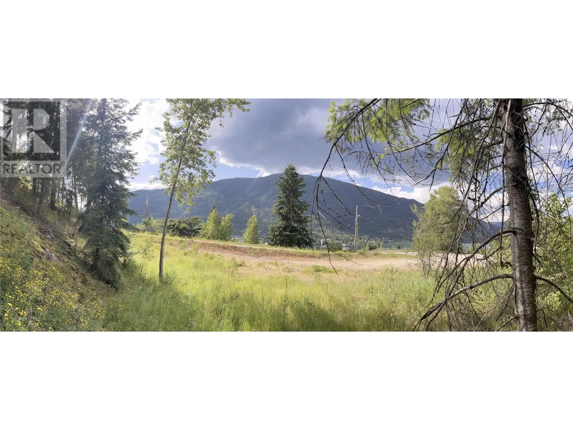 Property at 1102 BEALBY STREET, Nelson, BC