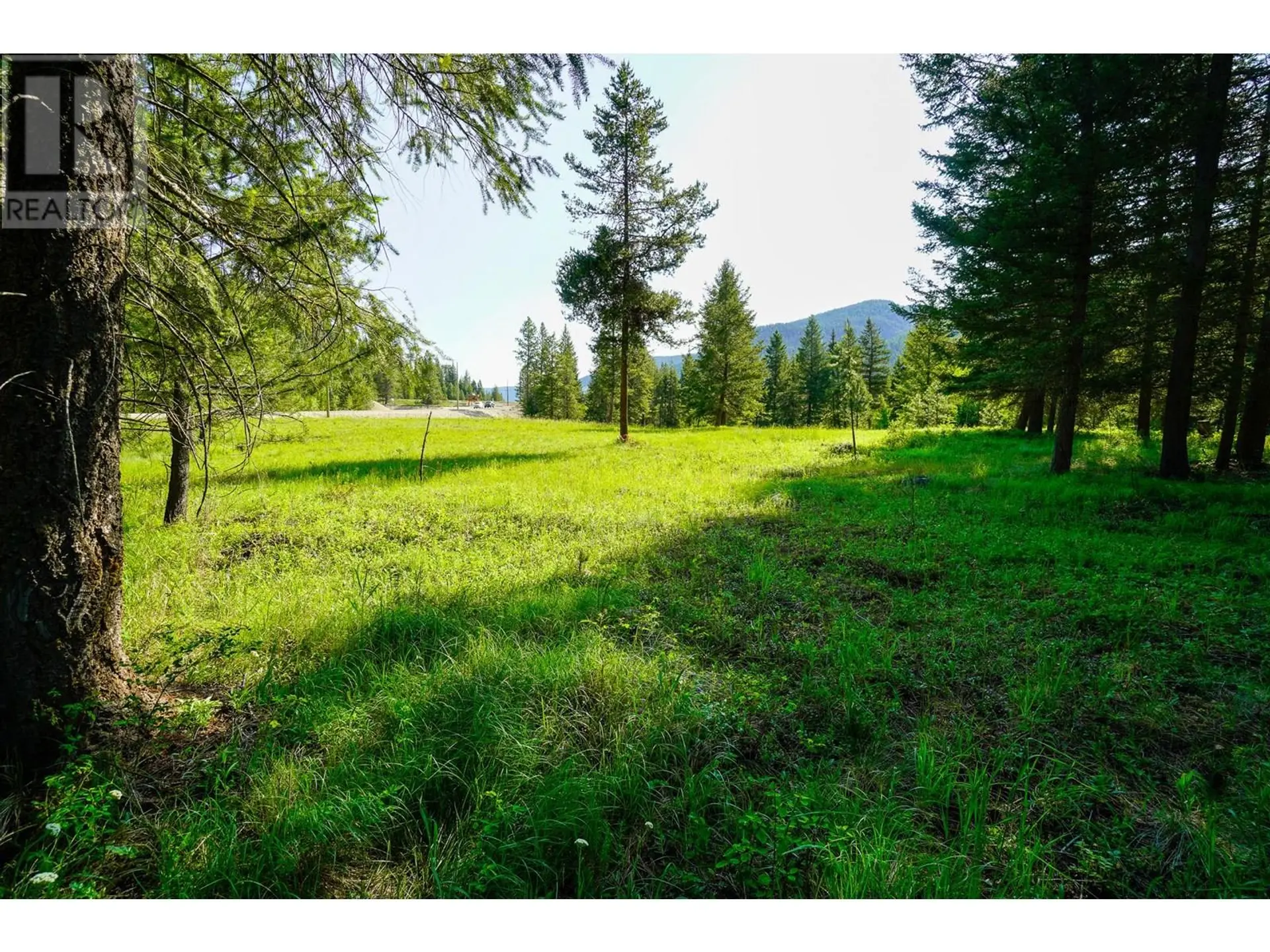 Property at LOT 2 MARY G ROAD, Beaverdell, BC