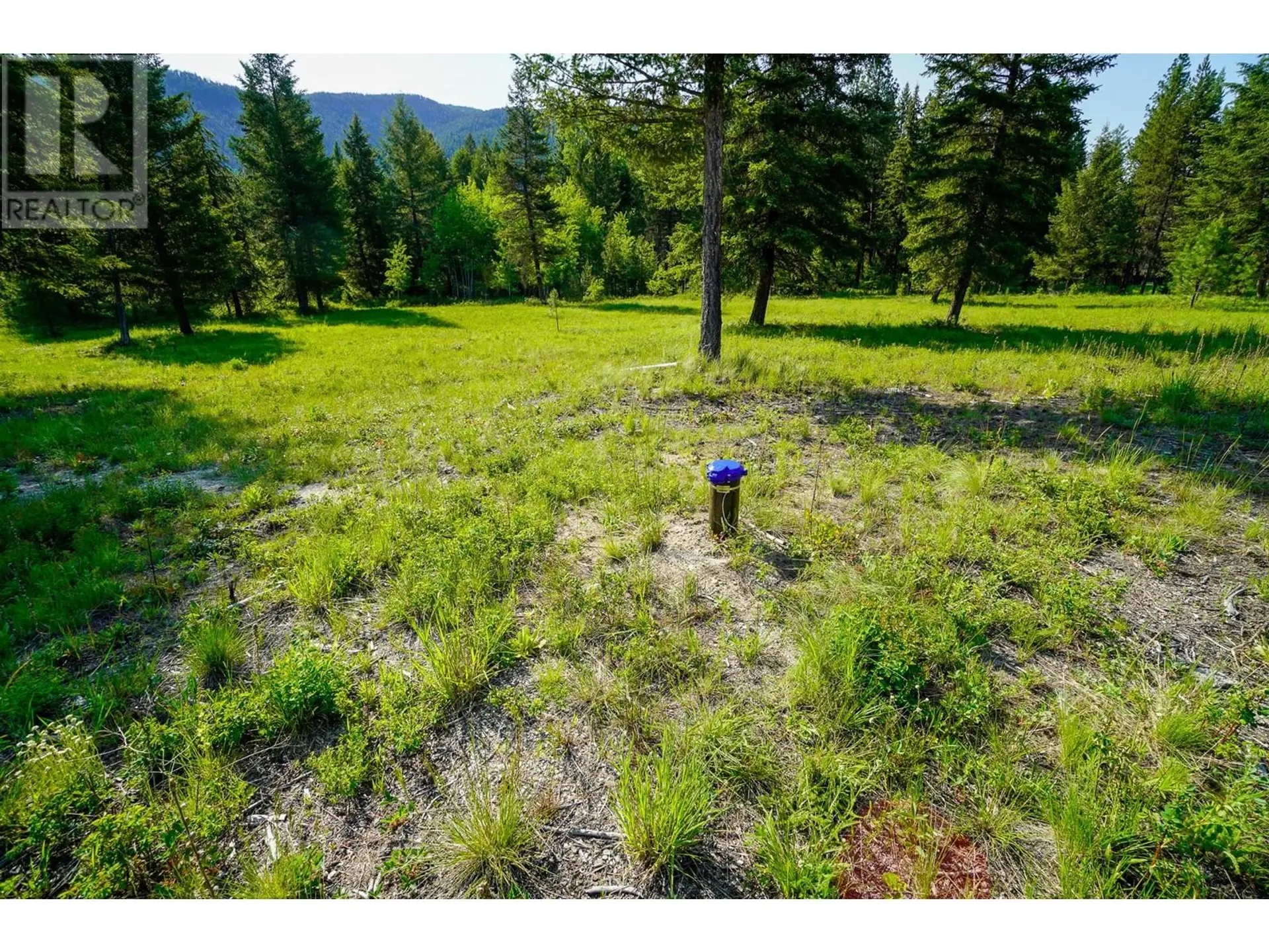 Property at LOT 2 MARY G ROAD, Beaverdell, BC
