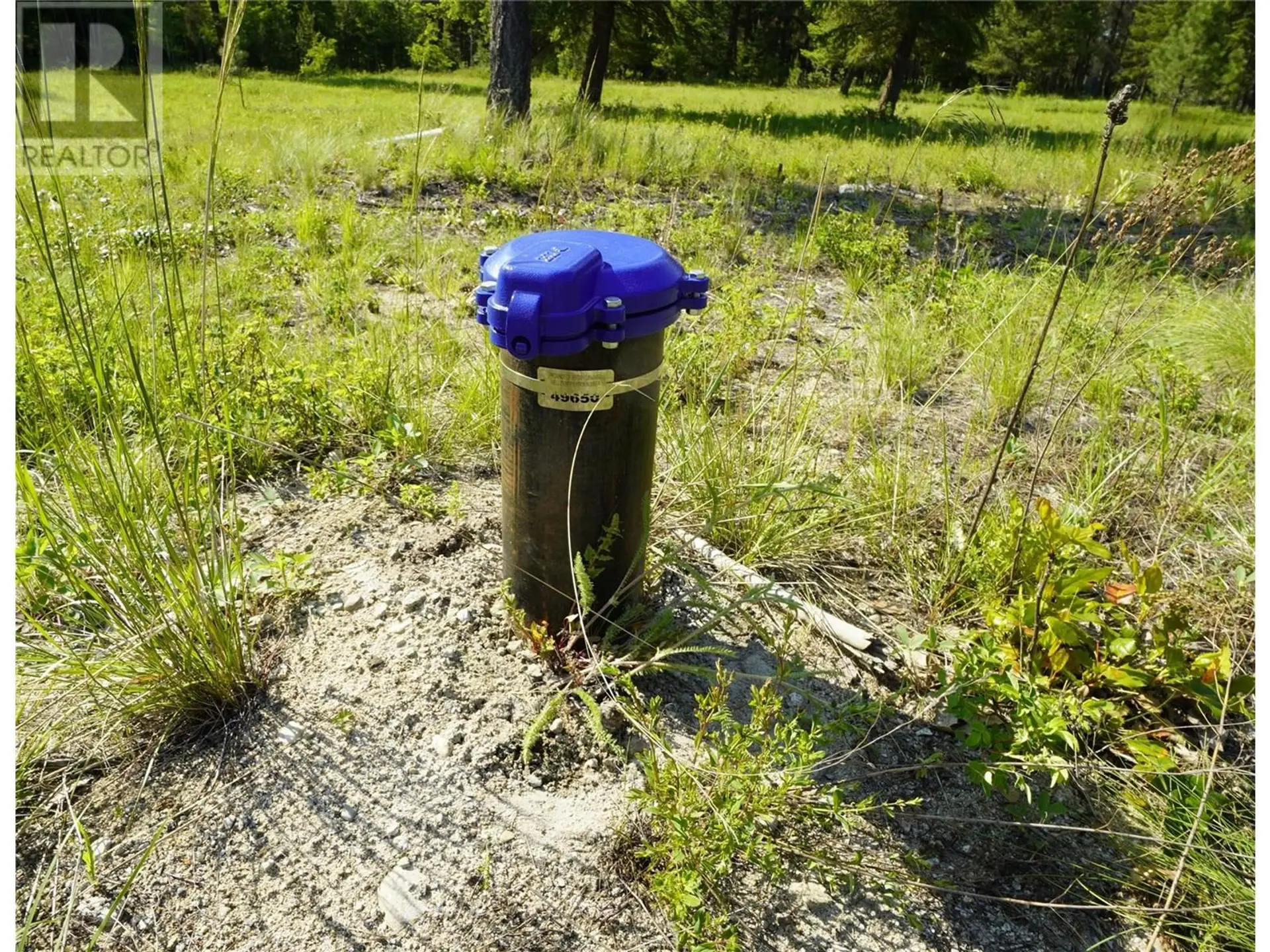 Property at LOT 2 MARY G ROAD, Beaverdell, BC