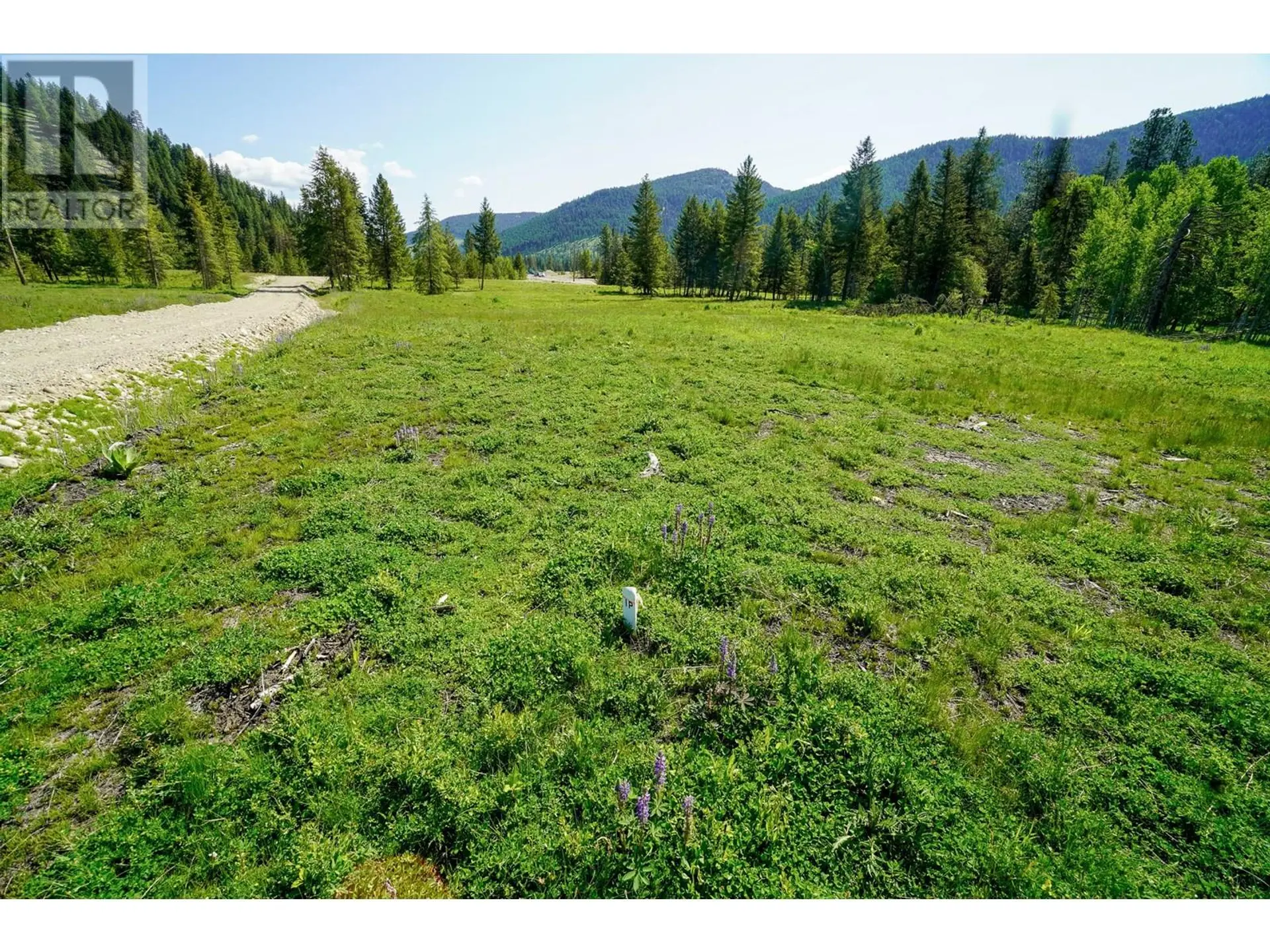 Property at LOT 3 MARY G ROAD, Beaverdell, BC