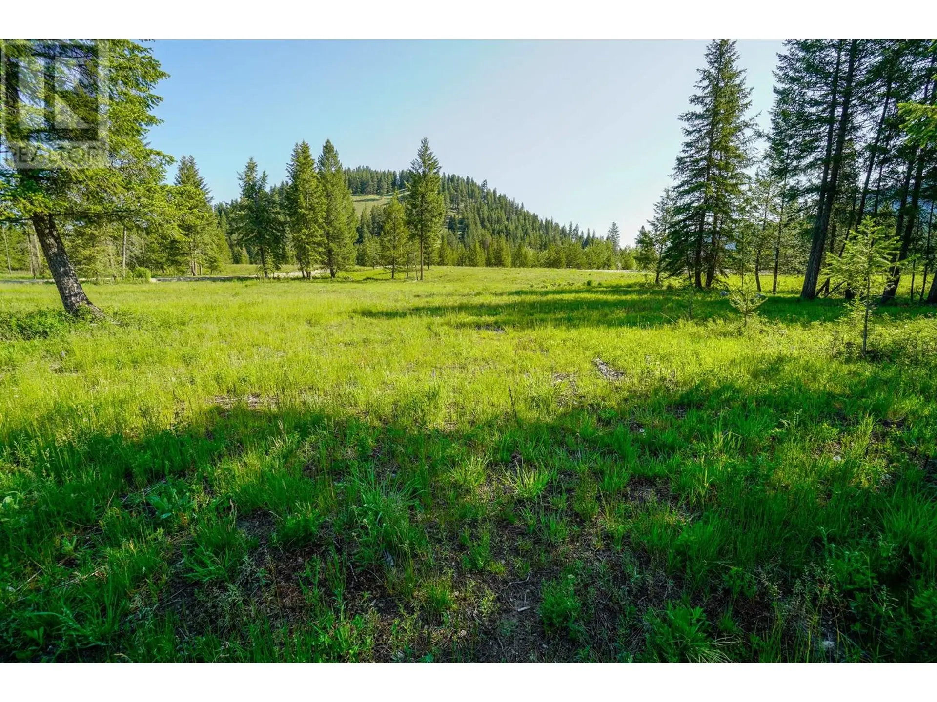 Property at LOT 3 MARY G ROAD, Beaverdell, BC