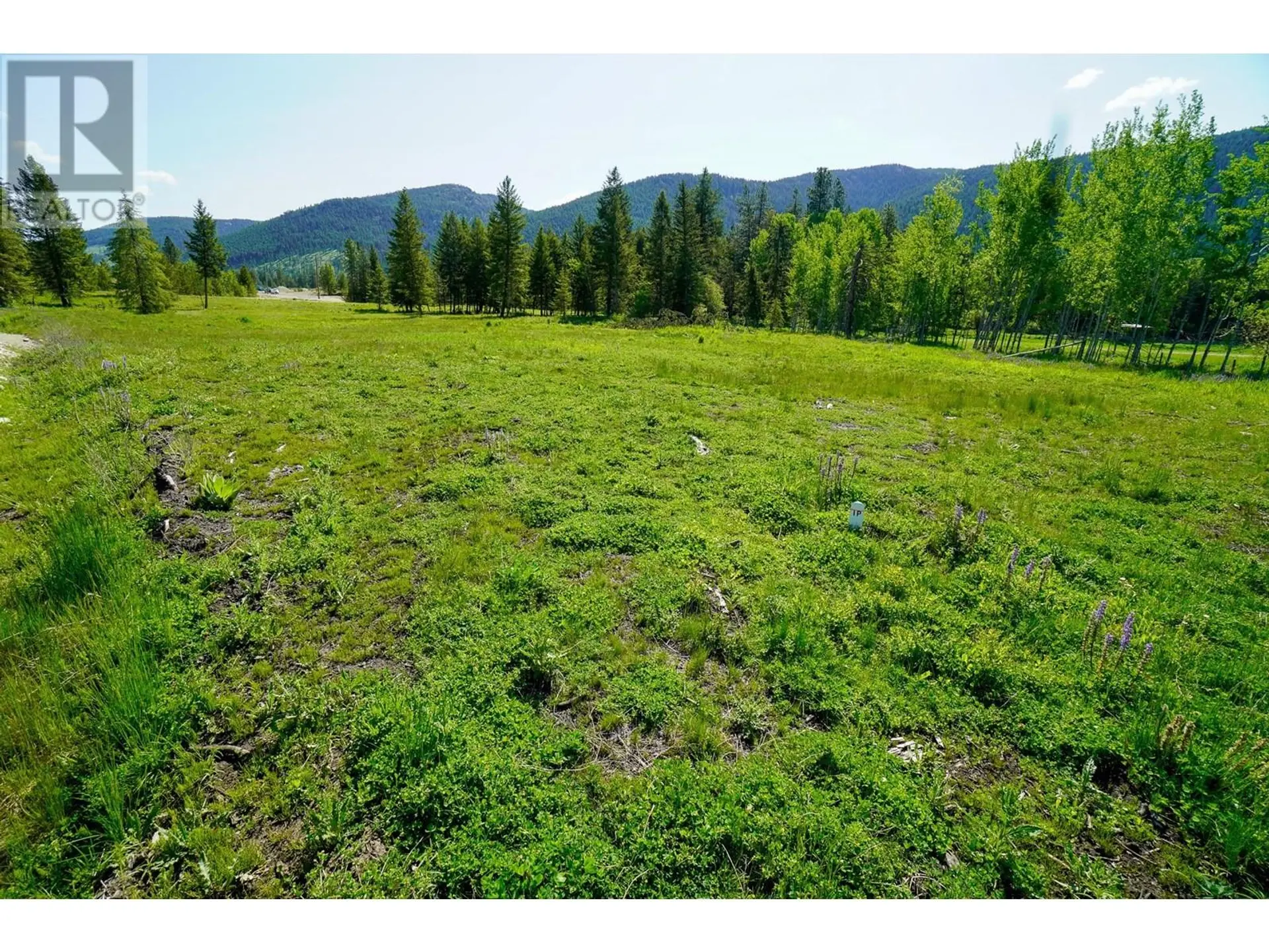 Property at LOT 3 MARY G ROAD, Beaverdell, BC