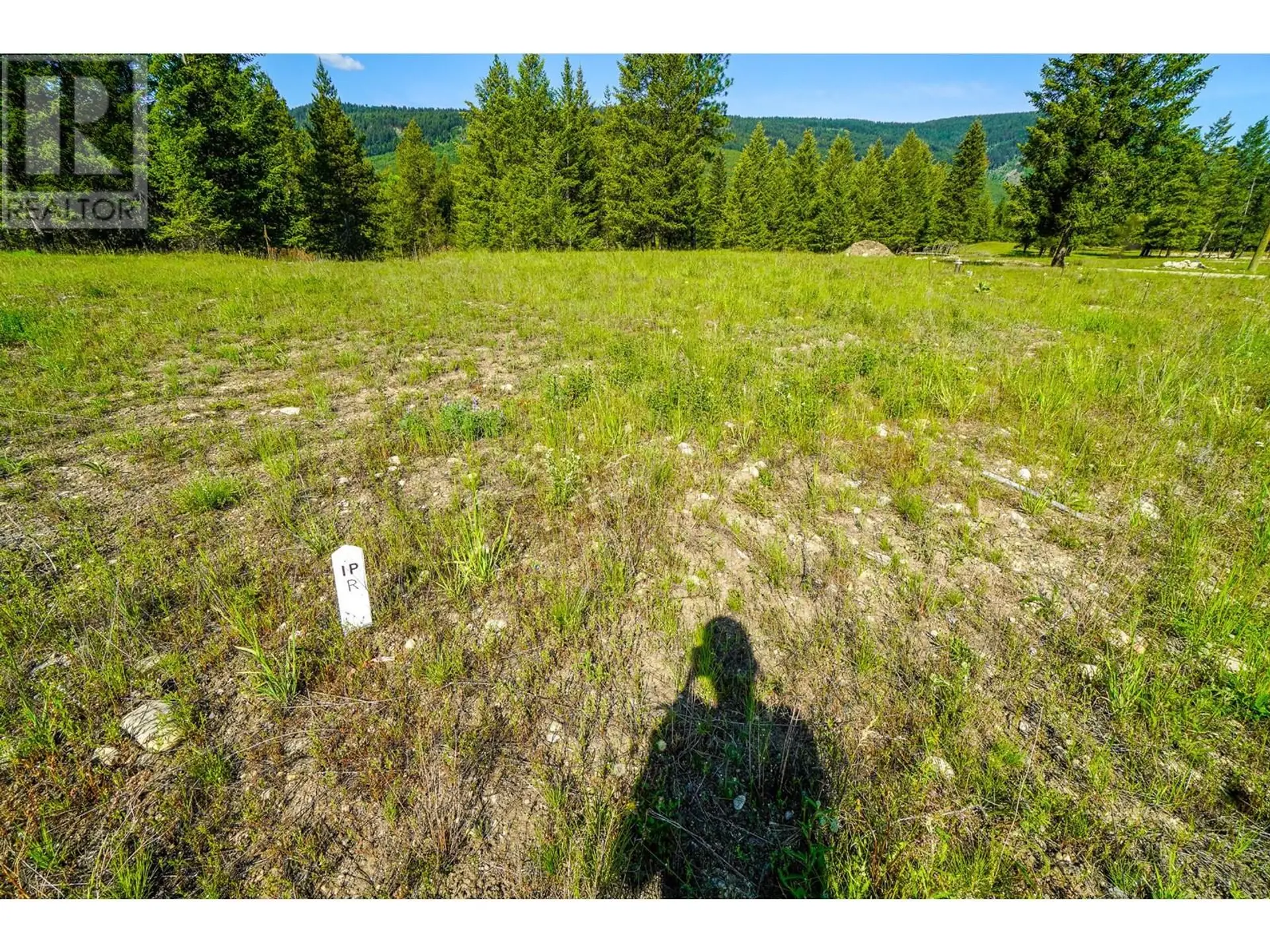 Property at LOT 5 MARY G ROAD, Beaverdell, BC