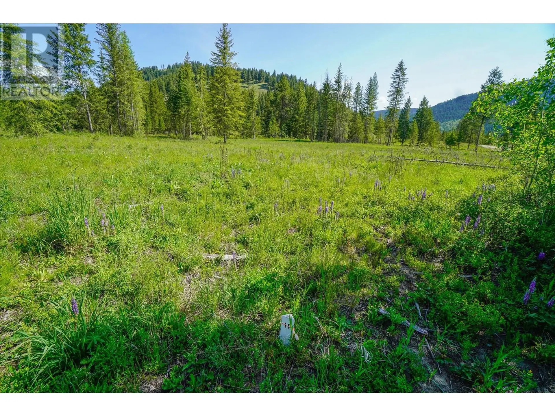 Property at LOT 5 MARY G ROAD, Beaverdell, BC