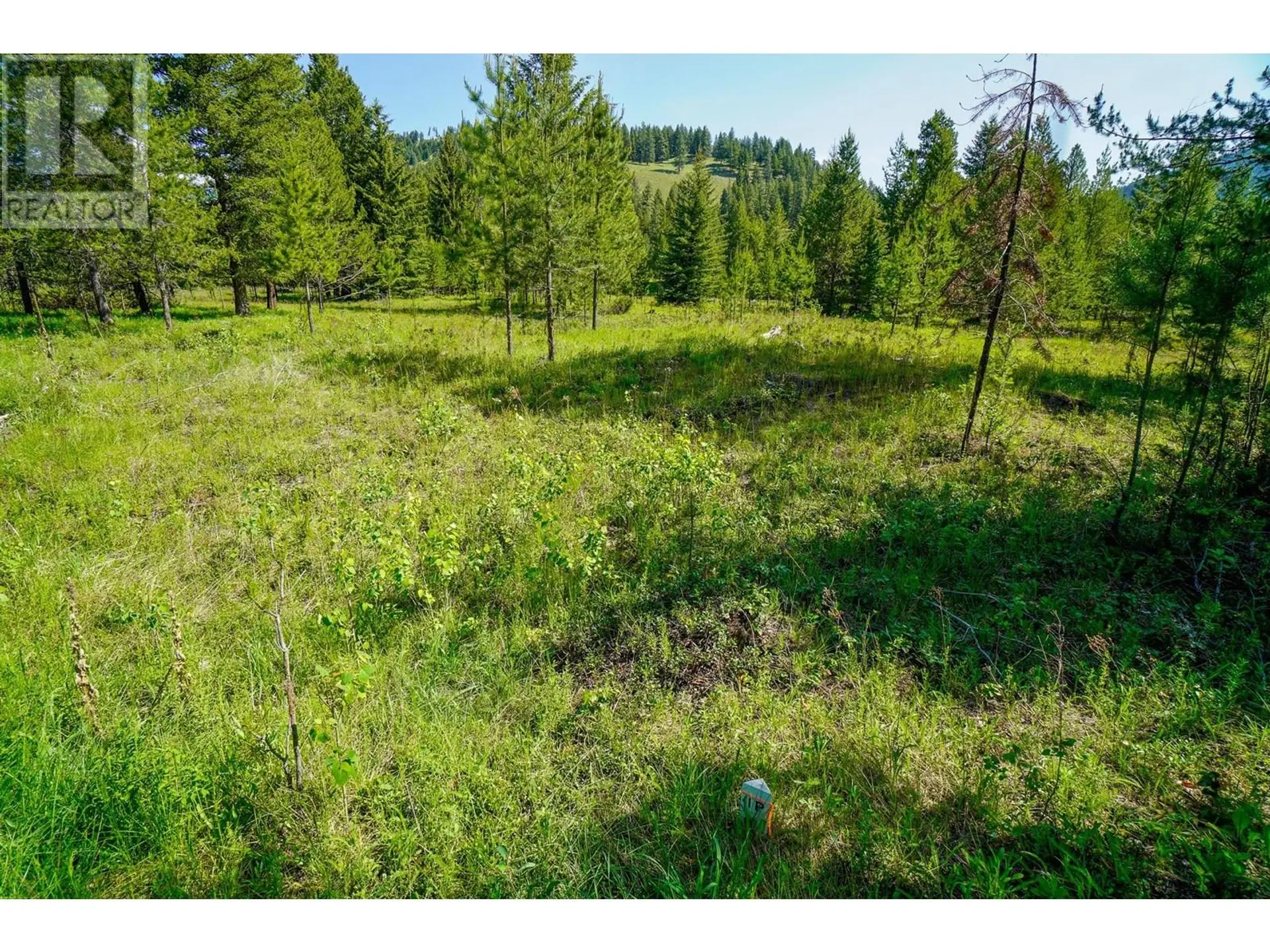 Property at LOT 5 MARY G ROAD, Beaverdell, BC