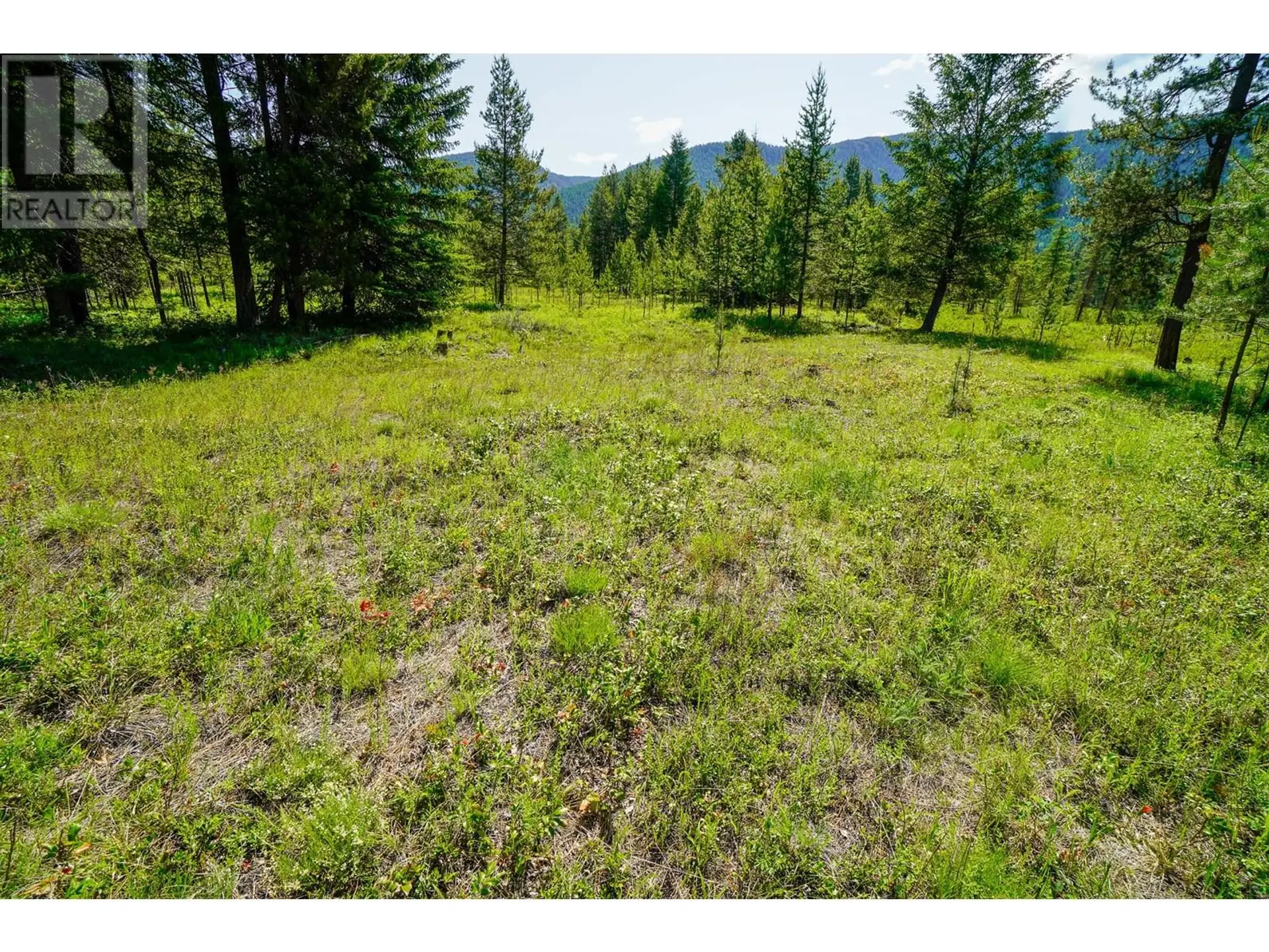Property at LOT 6 MARY G ROAD, Beaverdell, BC