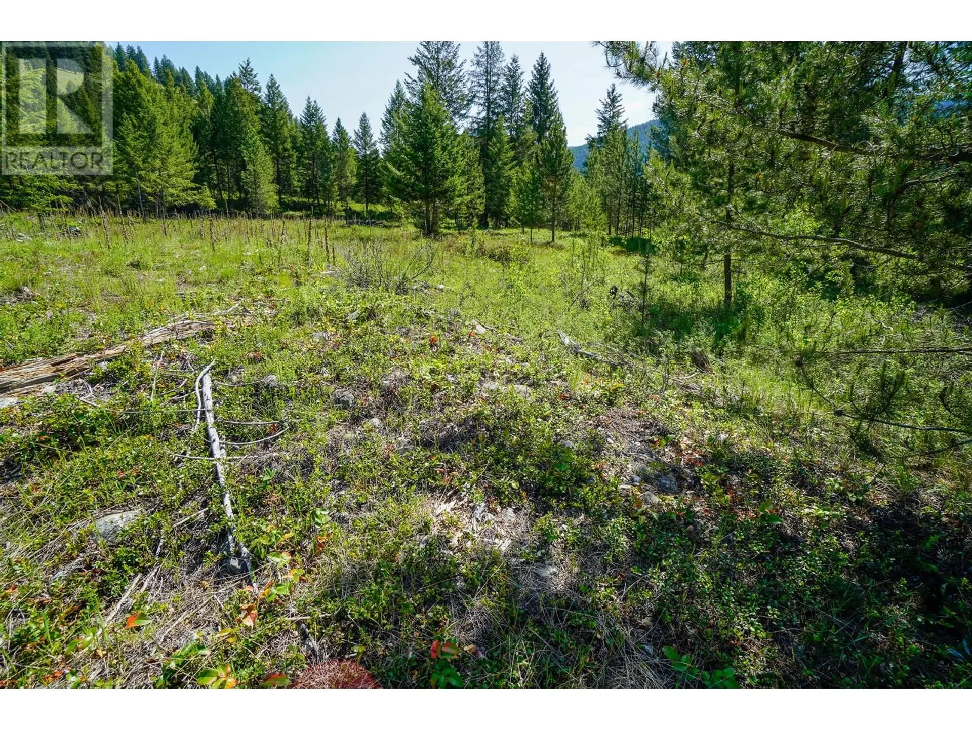 Property at LOT 6 MARY G ROAD, Beaverdell, BC