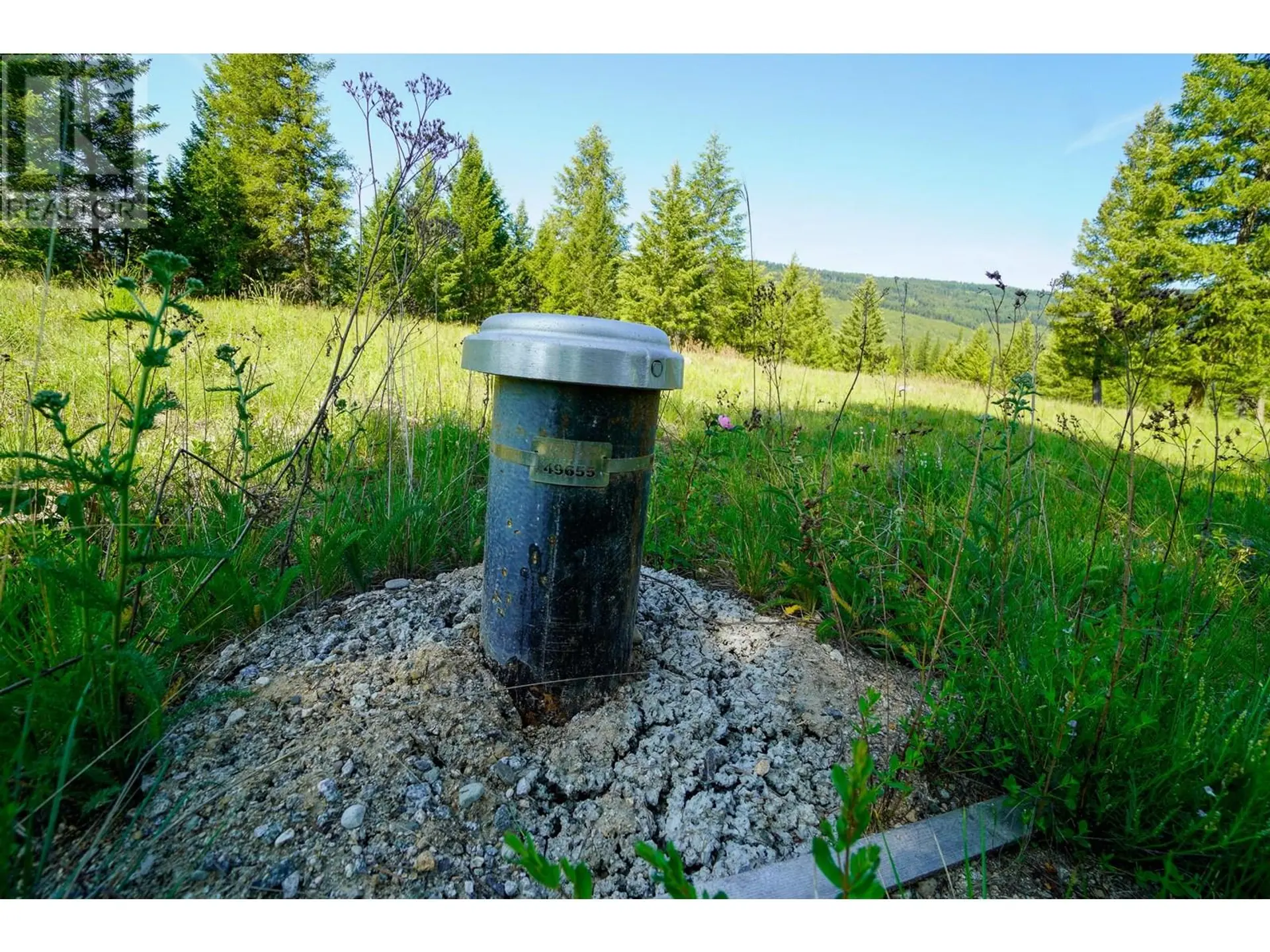 Property at LOT 7 MARY G ROAD, Beaverdell, BC