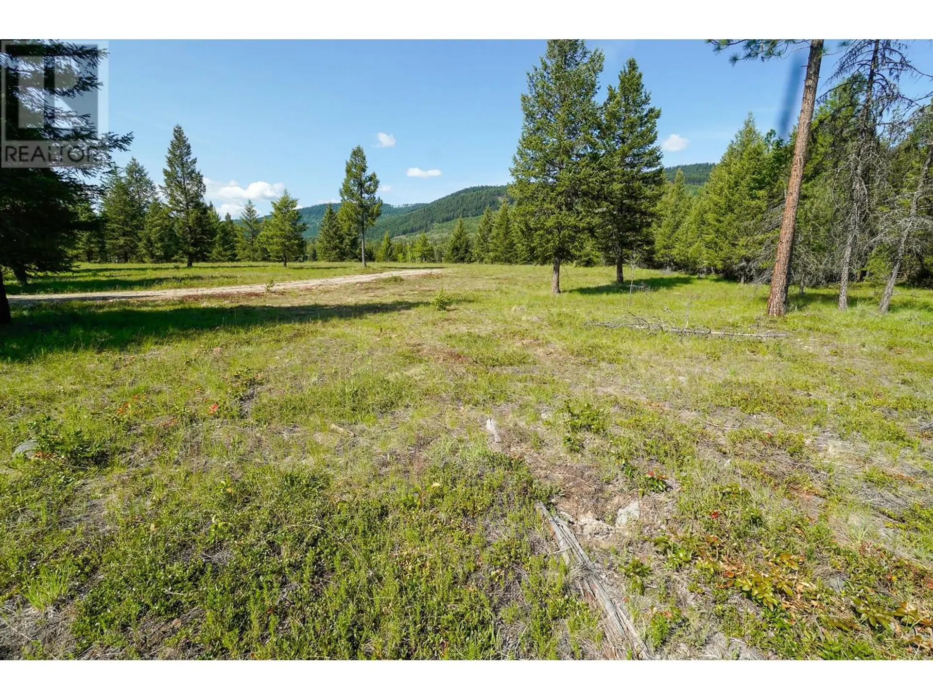 Property at LOT 7 MARY G ROAD, Beaverdell, BC