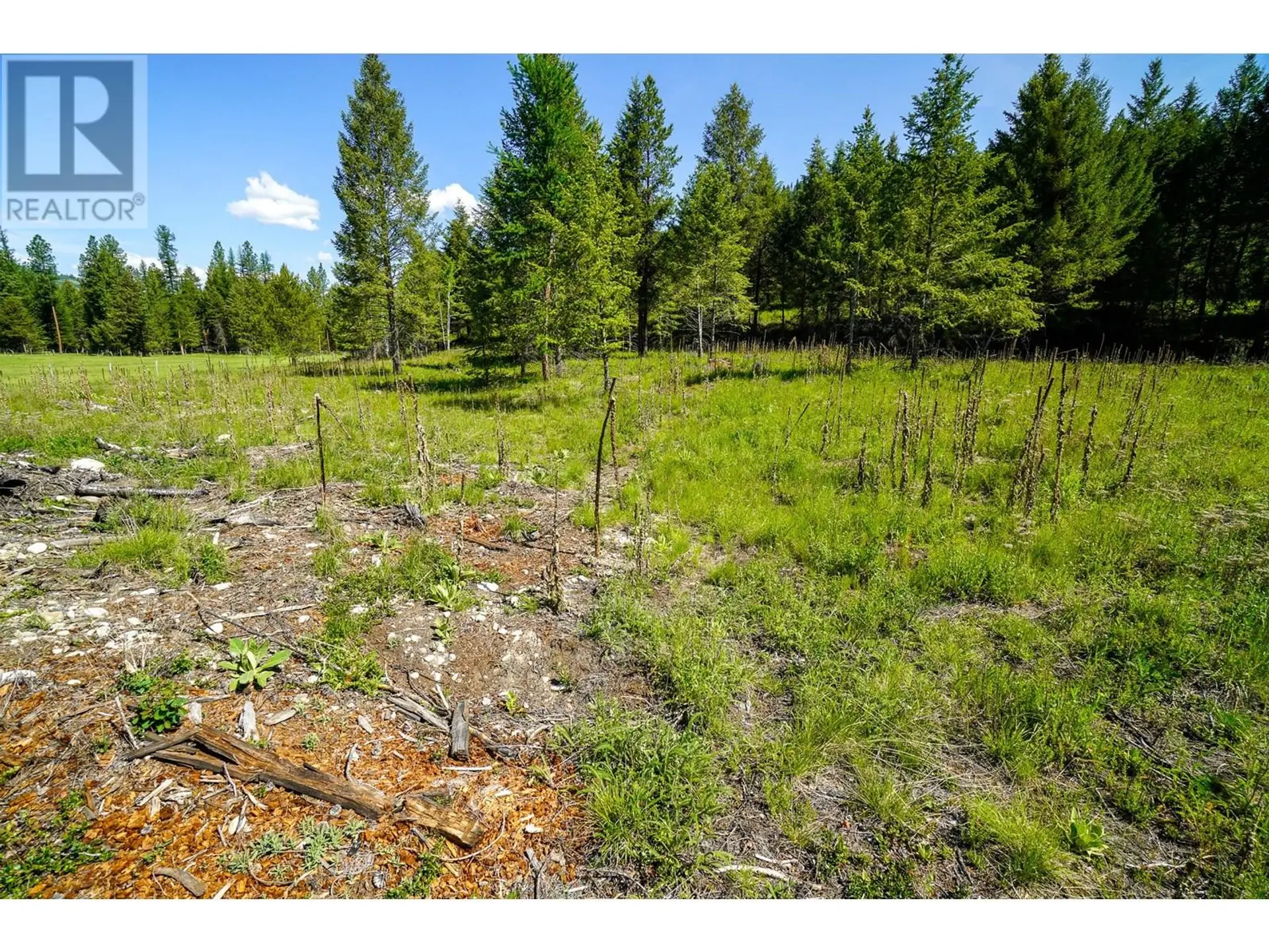 Property at LOT 7 MARY G ROAD, Beaverdell, BC