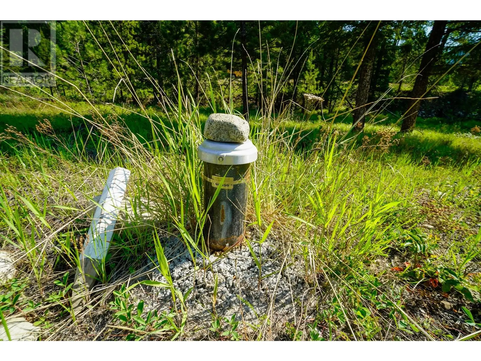 Property at LOT 8 MARY G ROAD, Beaverdell, BC